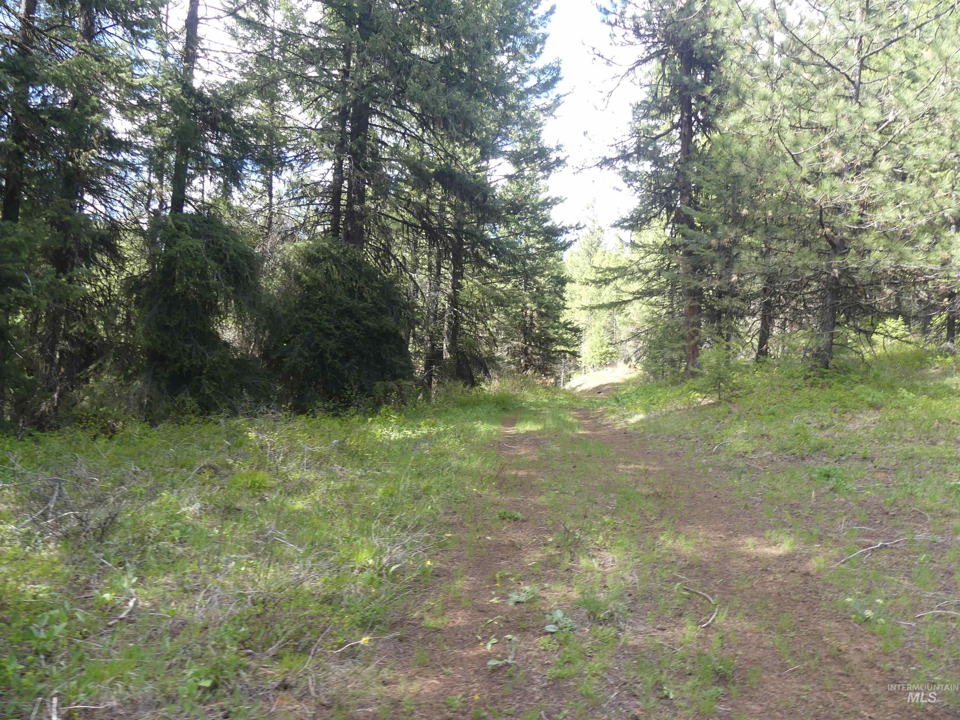 000 Hansen Ridge Road, Anatone, Washington 99401, Land For Sale, Price $350,000, 98910830