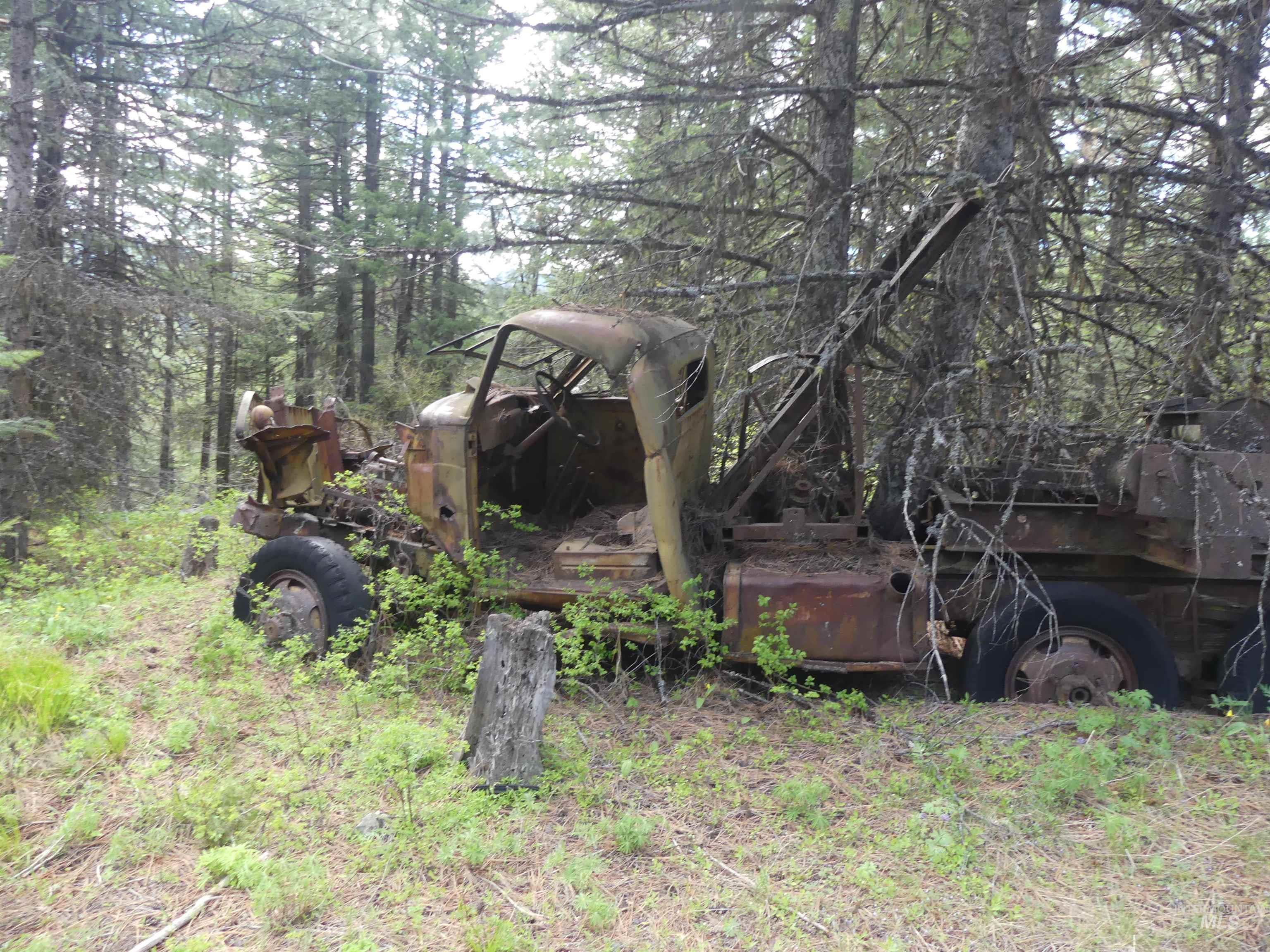 000 Hansen Ridge Road, Anatone, Washington 99401, Land For Sale, Price $350,000, 98910830