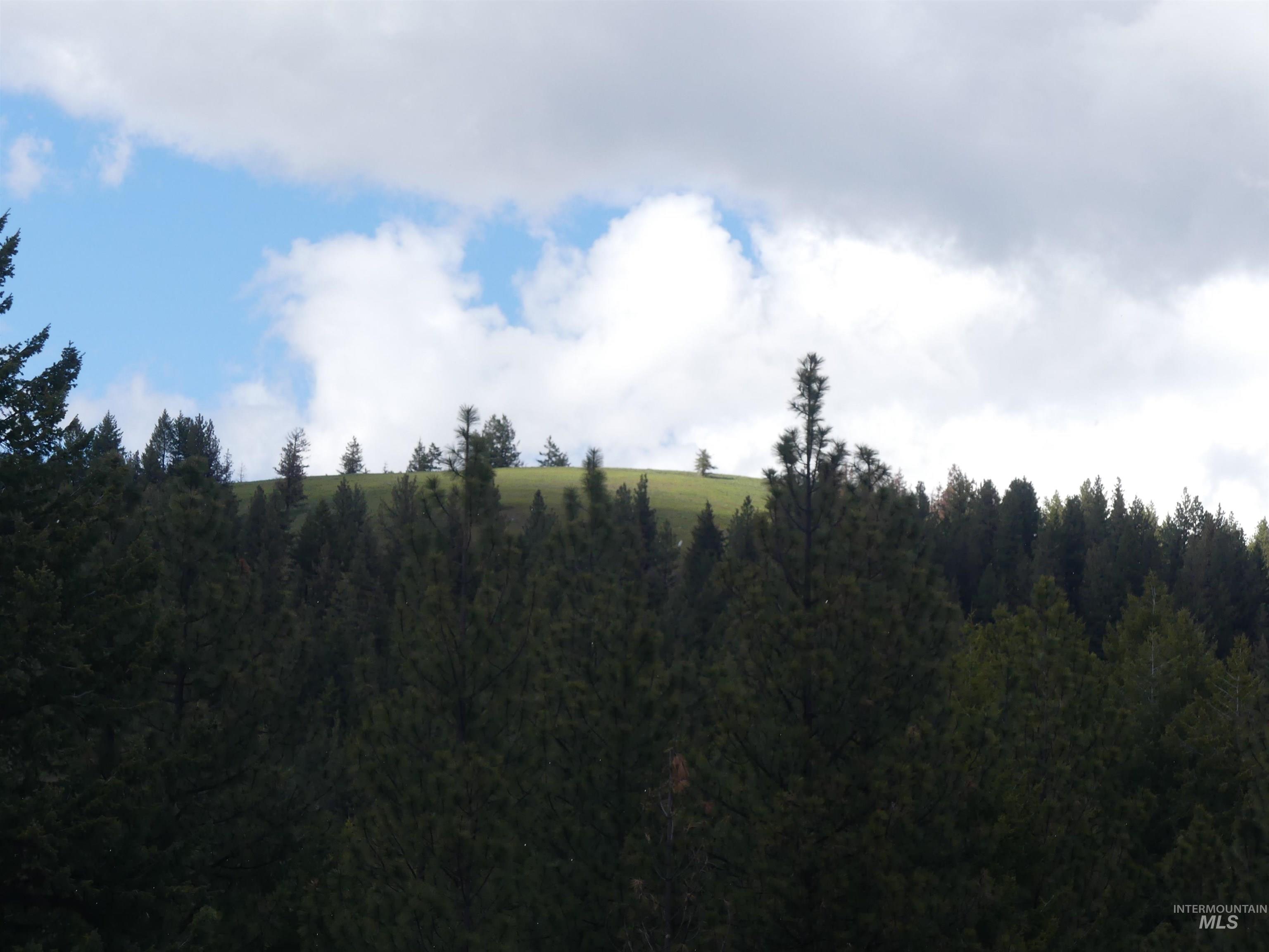 000 Hansen Ridge Road, Anatone, Washington 99401, Land For Sale, Price $350,000, 98910830