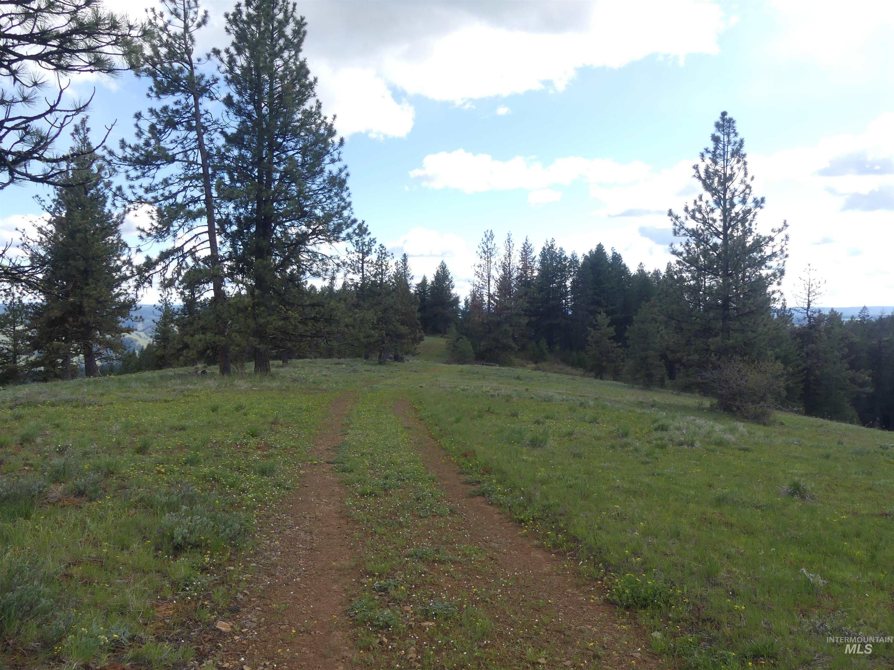 000 Hansen Ridge Road, Anatone, Washington 99401, Land For Sale, Price $350,000, 98910830