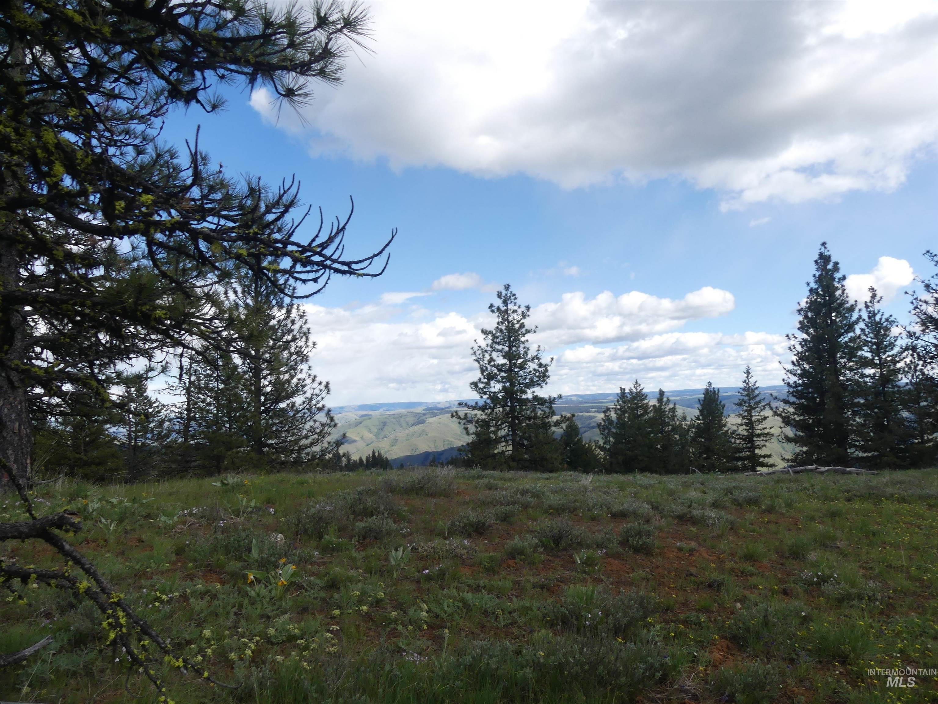 000 Hansen Ridge Road, Anatone, Washington 99401, Land For Sale, Price $350,000, 98910830