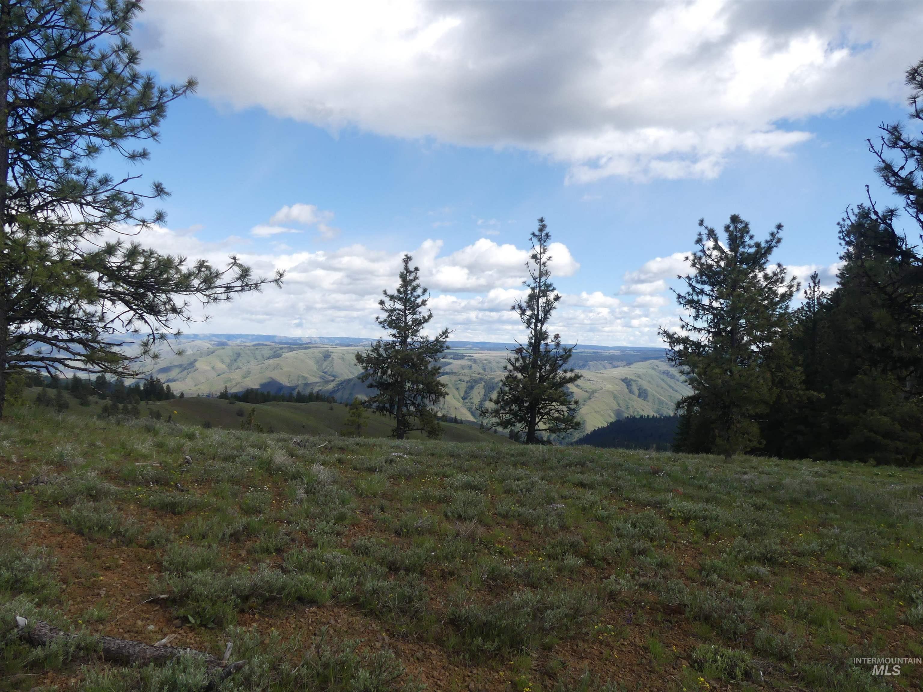 000 Hansen Ridge Road, Anatone, Washington 99401, Land For Sale, Price $350,000, 98910830