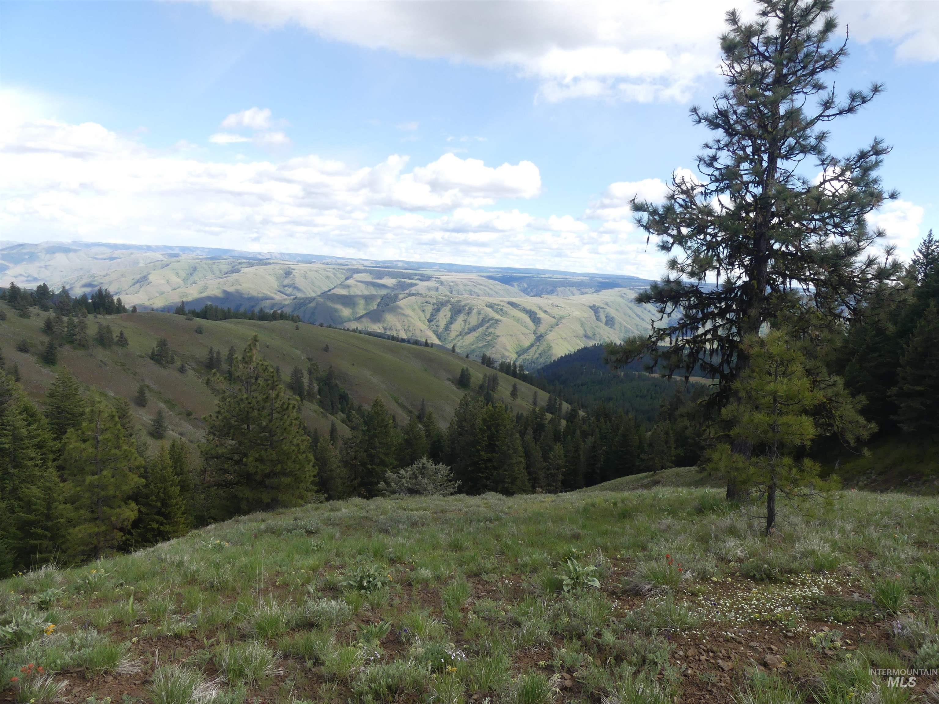 000 Hansen Ridge Road, Anatone, Washington 99401, Land For Sale, Price $350,000, 98910830