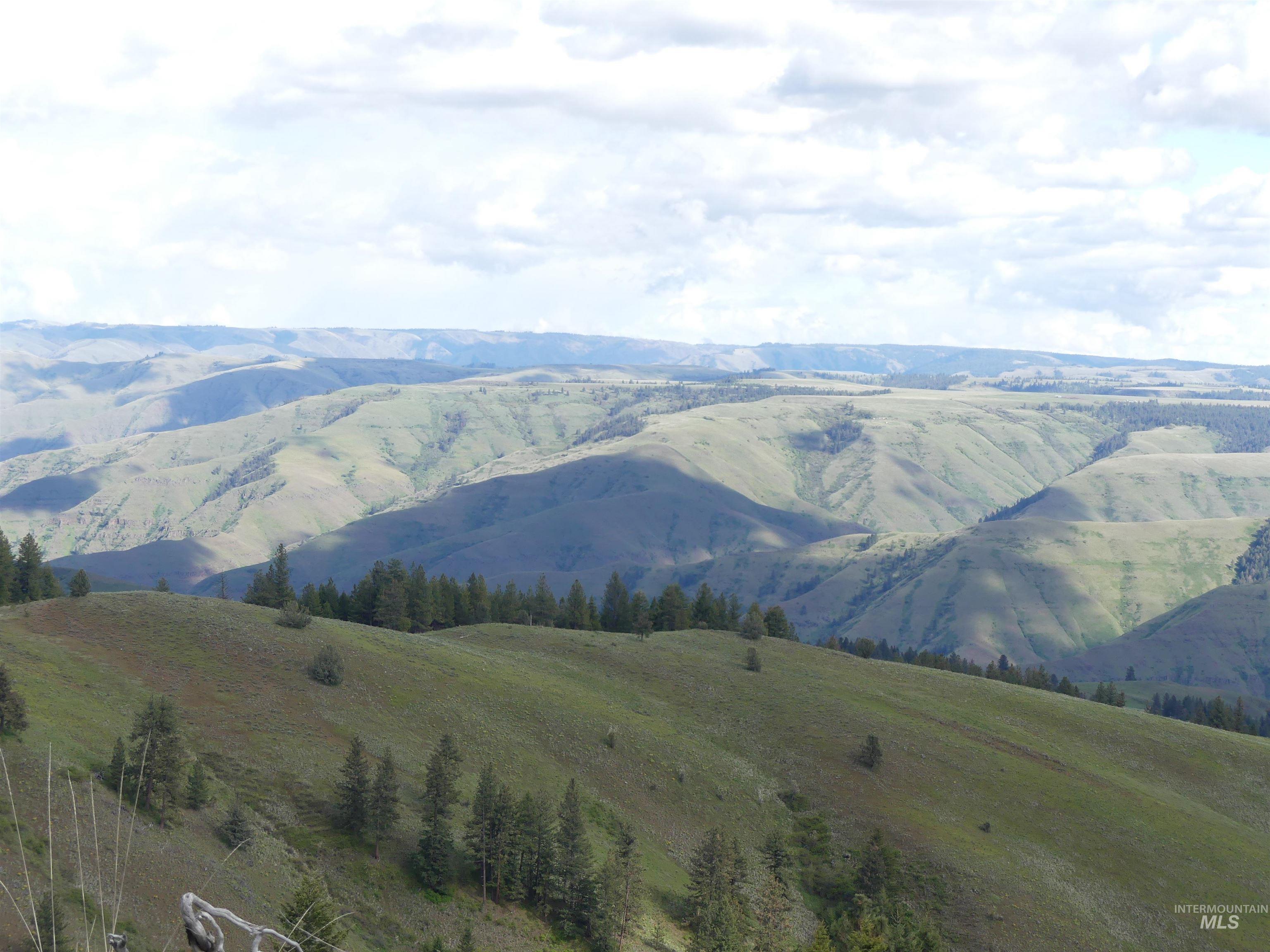 000 Hansen Ridge Road, Anatone, Washington 99401, Land For Sale, Price $350,000, 98910830