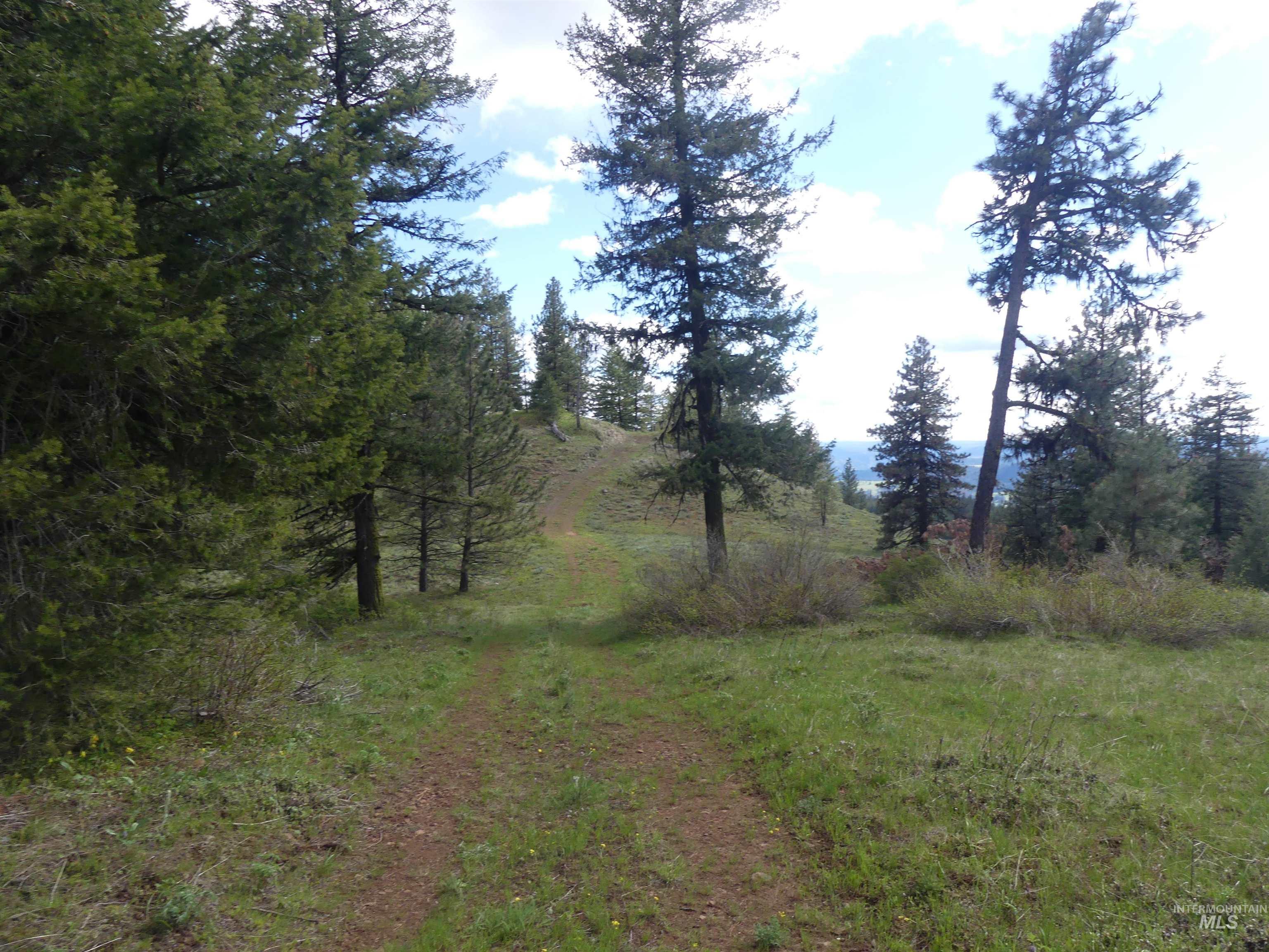 000 Hansen Ridge Road, Anatone, Washington 99401, Land For Sale, Price $350,000, 98910830