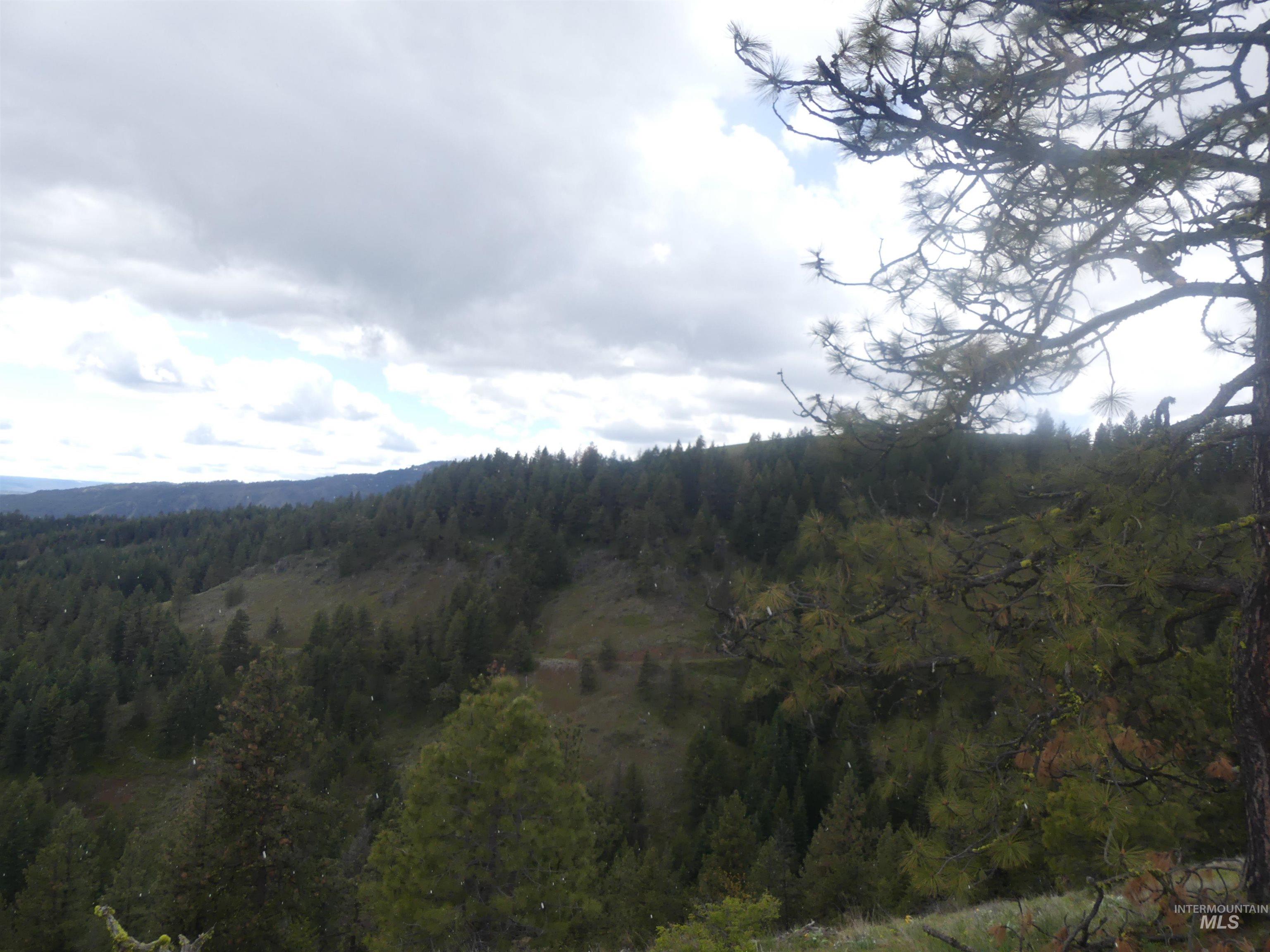 000 Hansen Ridge Road, Anatone, Washington 99401, Land For Sale, Price $350,000, 98910830