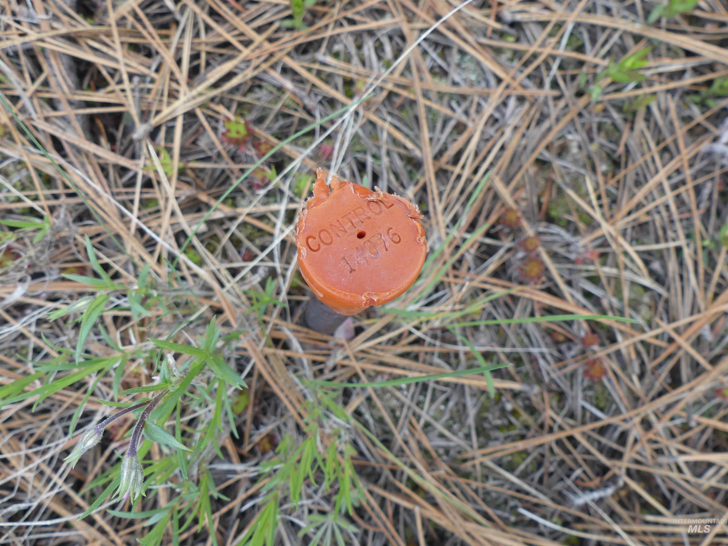 000 Hansen Ridge Road, Anatone, Washington 99401, Land For Sale, Price $350,000, 98910830