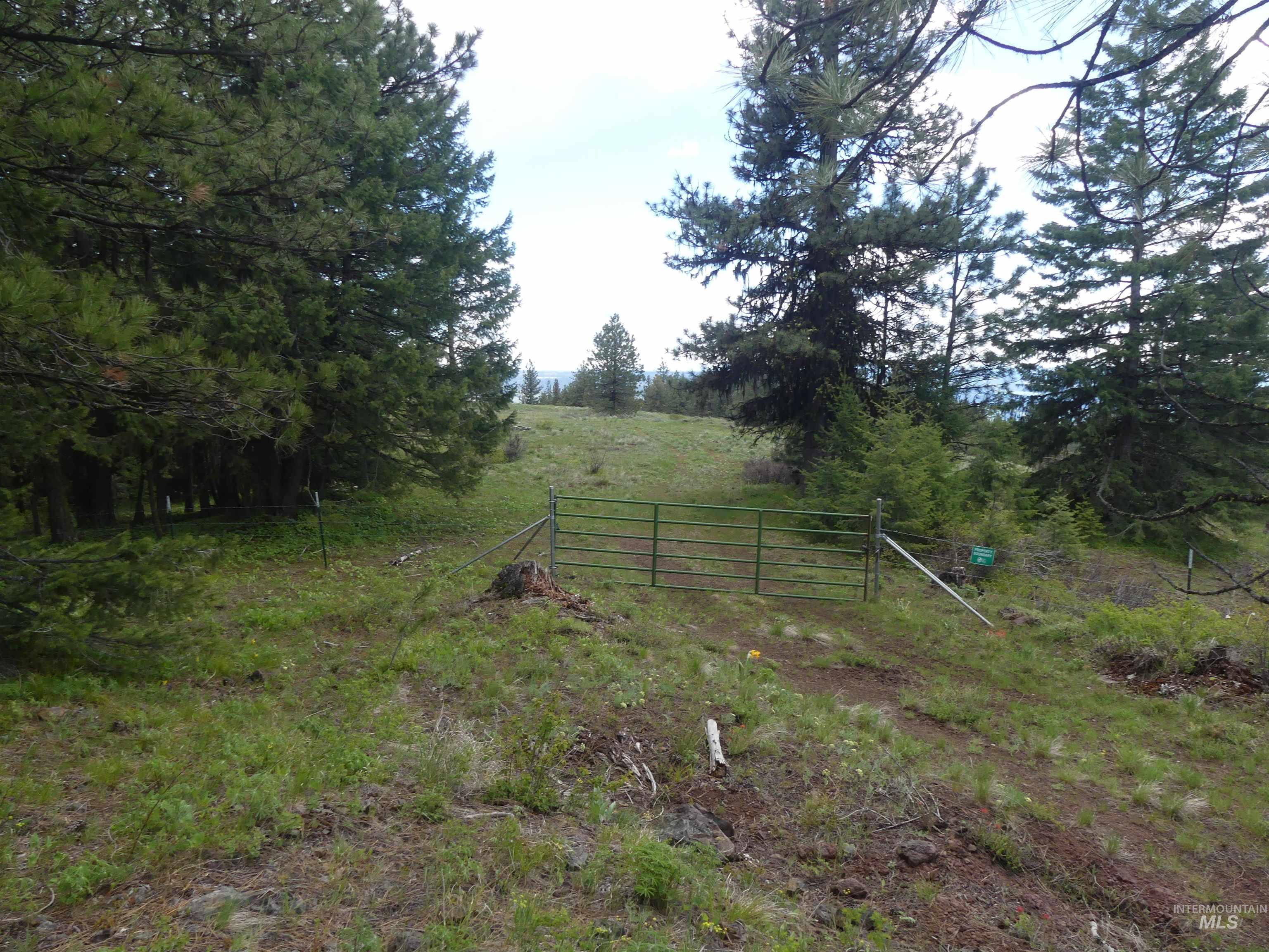 000 Hansen Ridge Road, Anatone, Washington 99401, Land For Sale, Price $350,000, 98910830