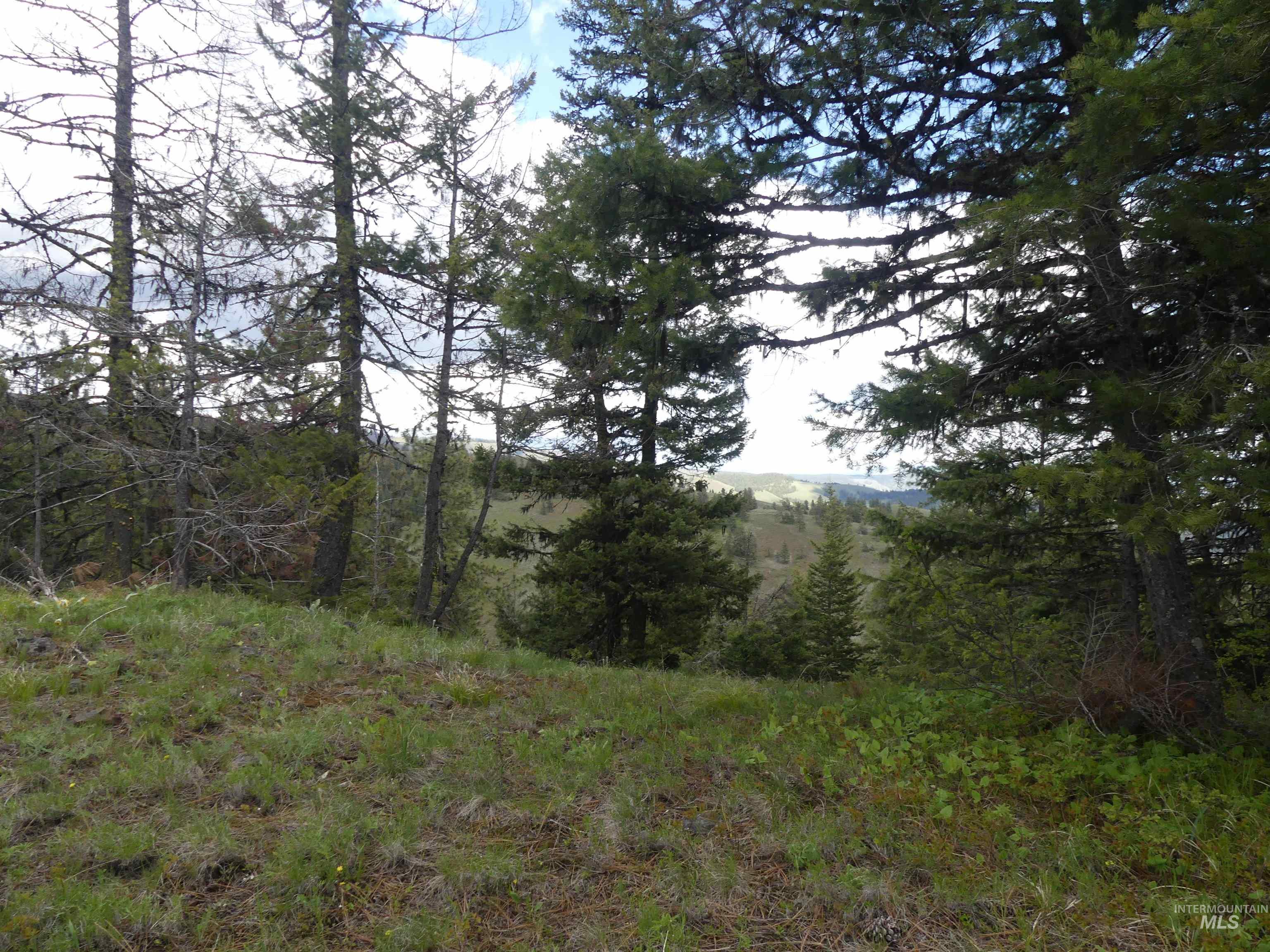 000 Hansen Ridge Road, Anatone, Washington 99401, Land For Sale, Price $350,000, 98910830