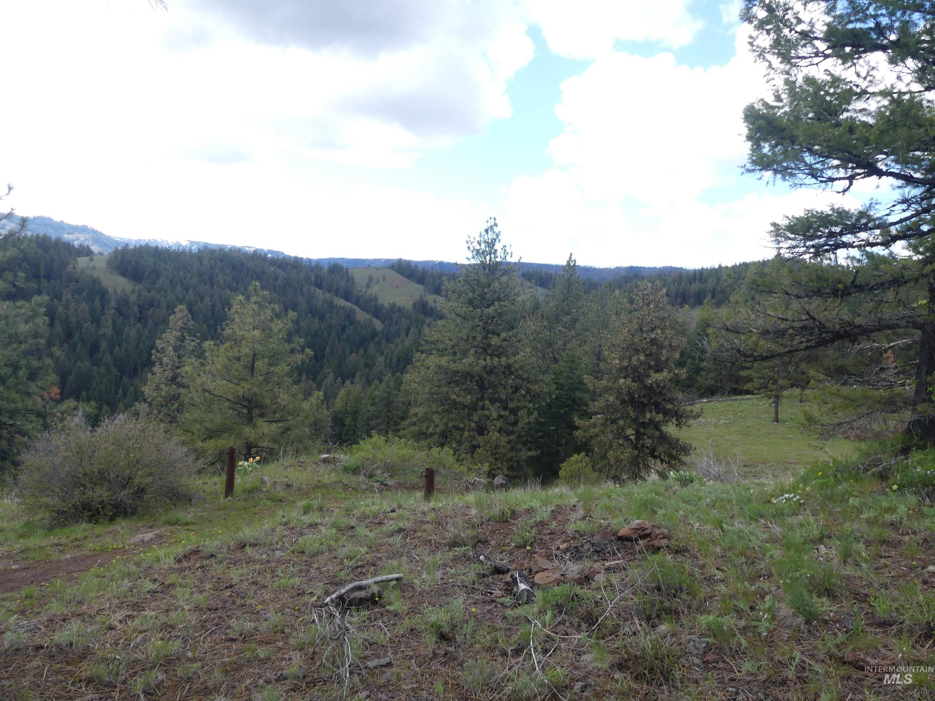 000 Hansen Ridge Road, Anatone, Washington 99401, Land For Sale, Price $350,000, 98910830