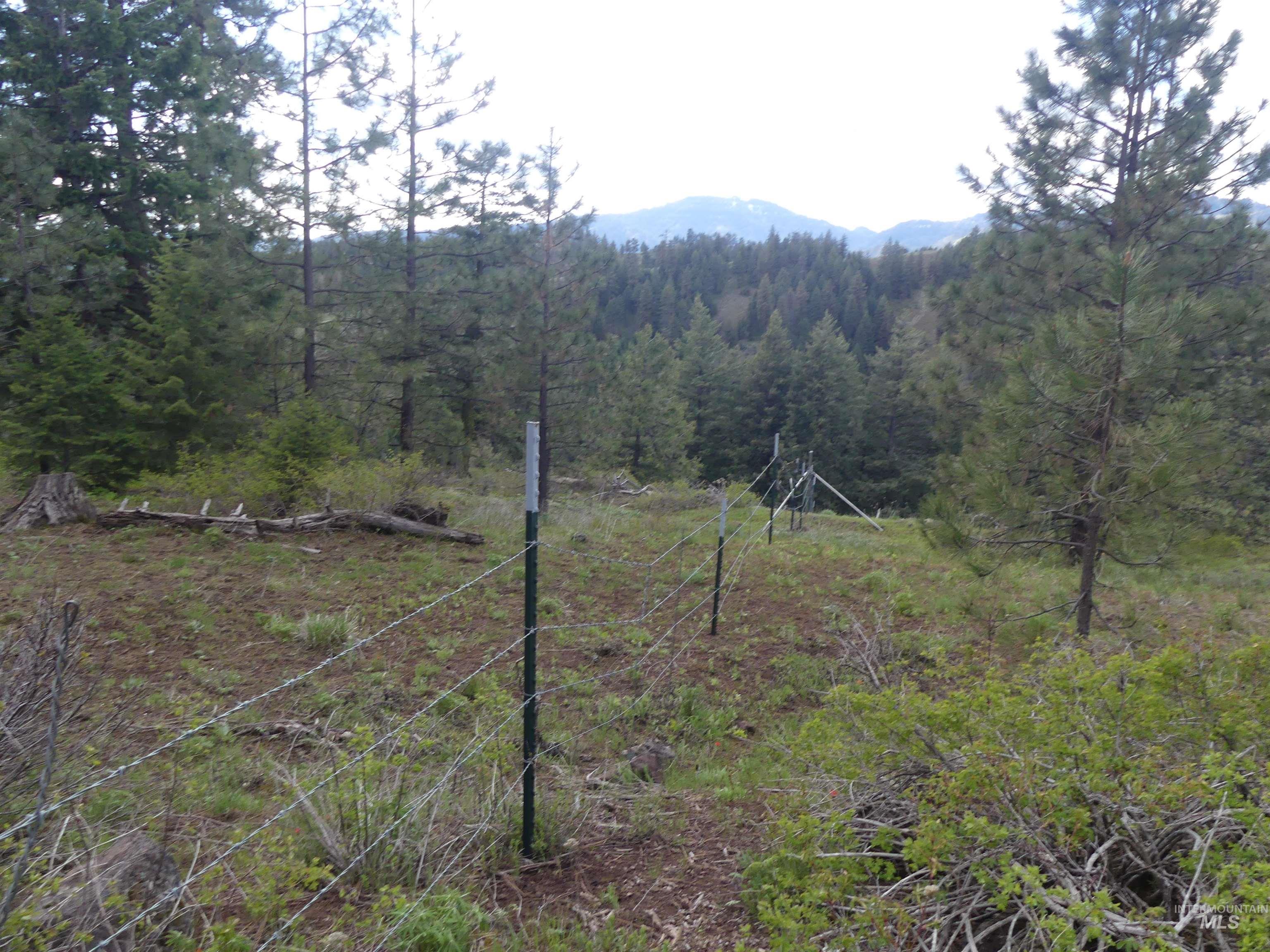 000 Hansen Ridge Road, Anatone, Washington 99401, Land For Sale, Price $350,000, 98910830