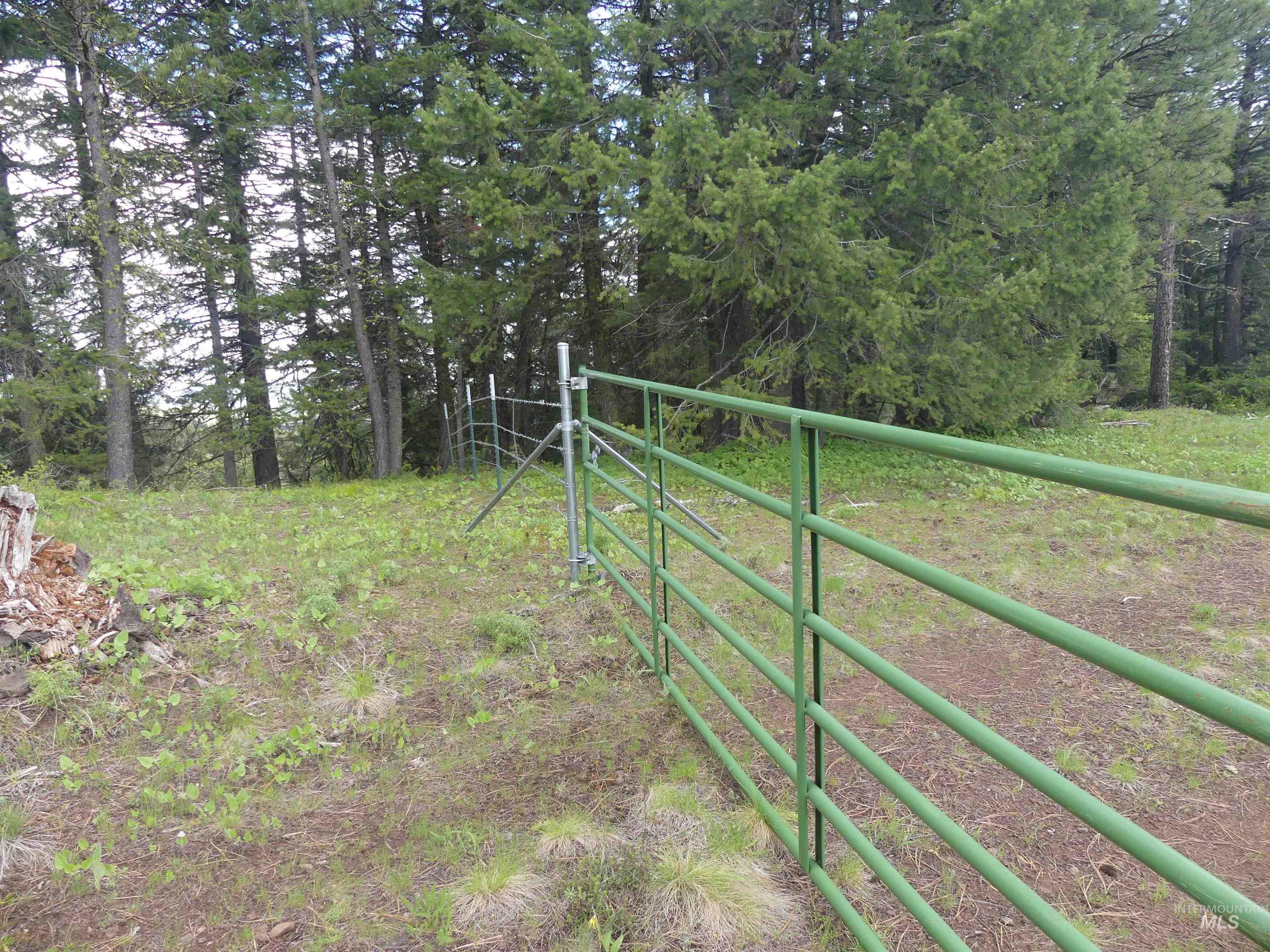 000 Hansen Ridge Road, Anatone, Washington 99401, Land For Sale, Price $350,000, 98910830