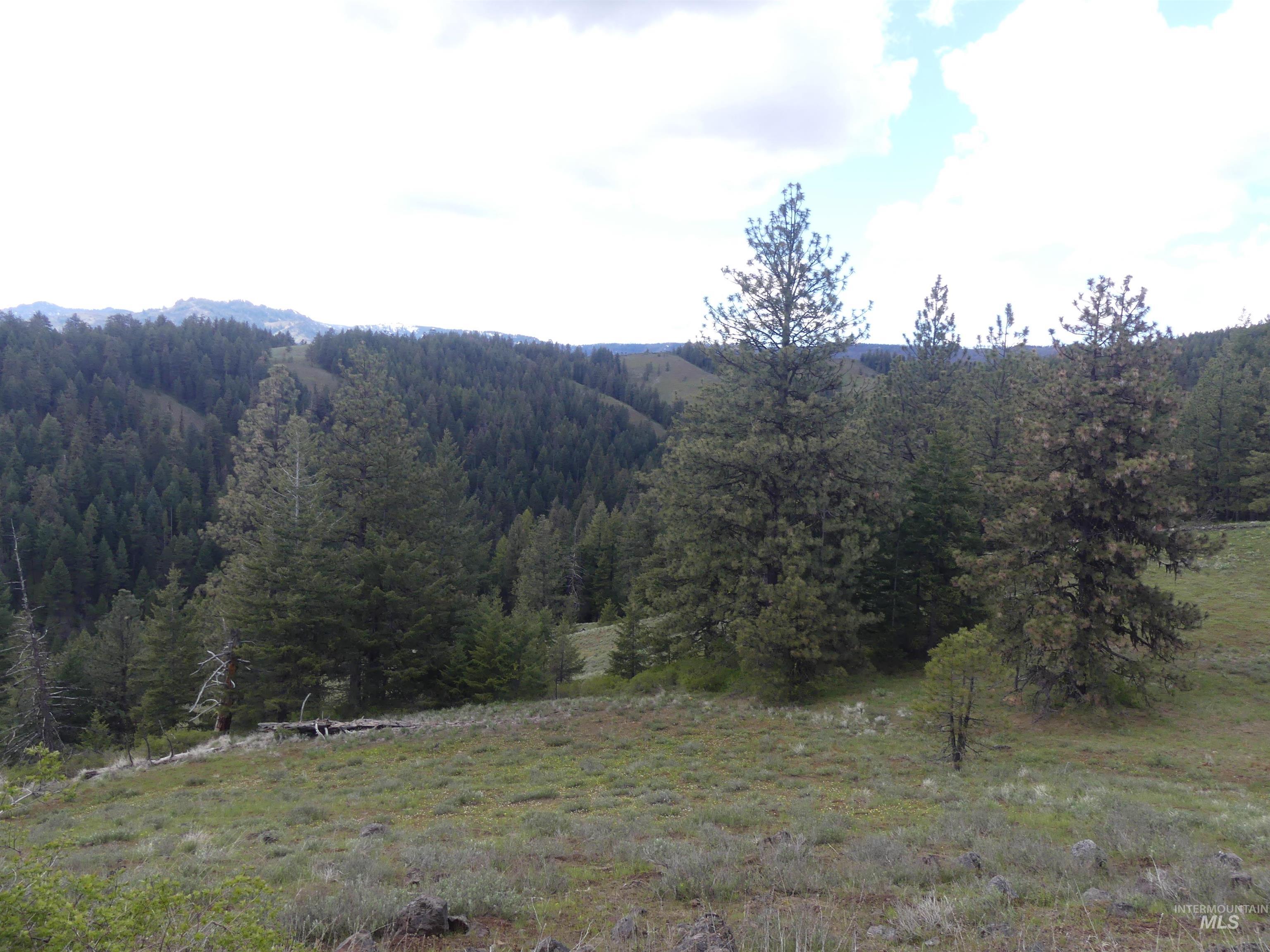 000 Hansen Ridge Road, Anatone, Washington 99401, Land For Sale, Price $350,000, 98910830