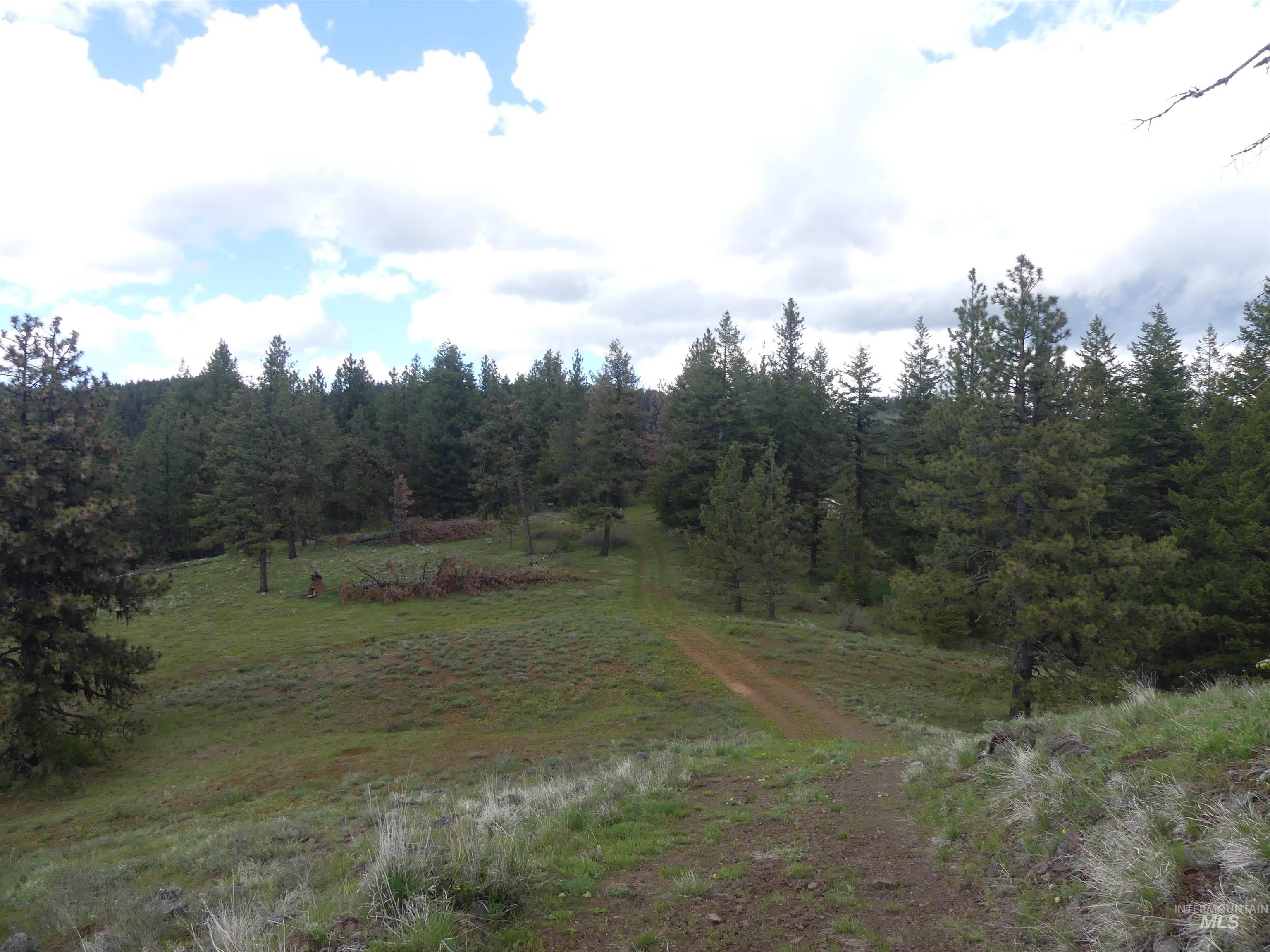 000 Hansen Ridge Road, Anatone, Washington 99401, Land For Sale, Price $350,000, 98910830