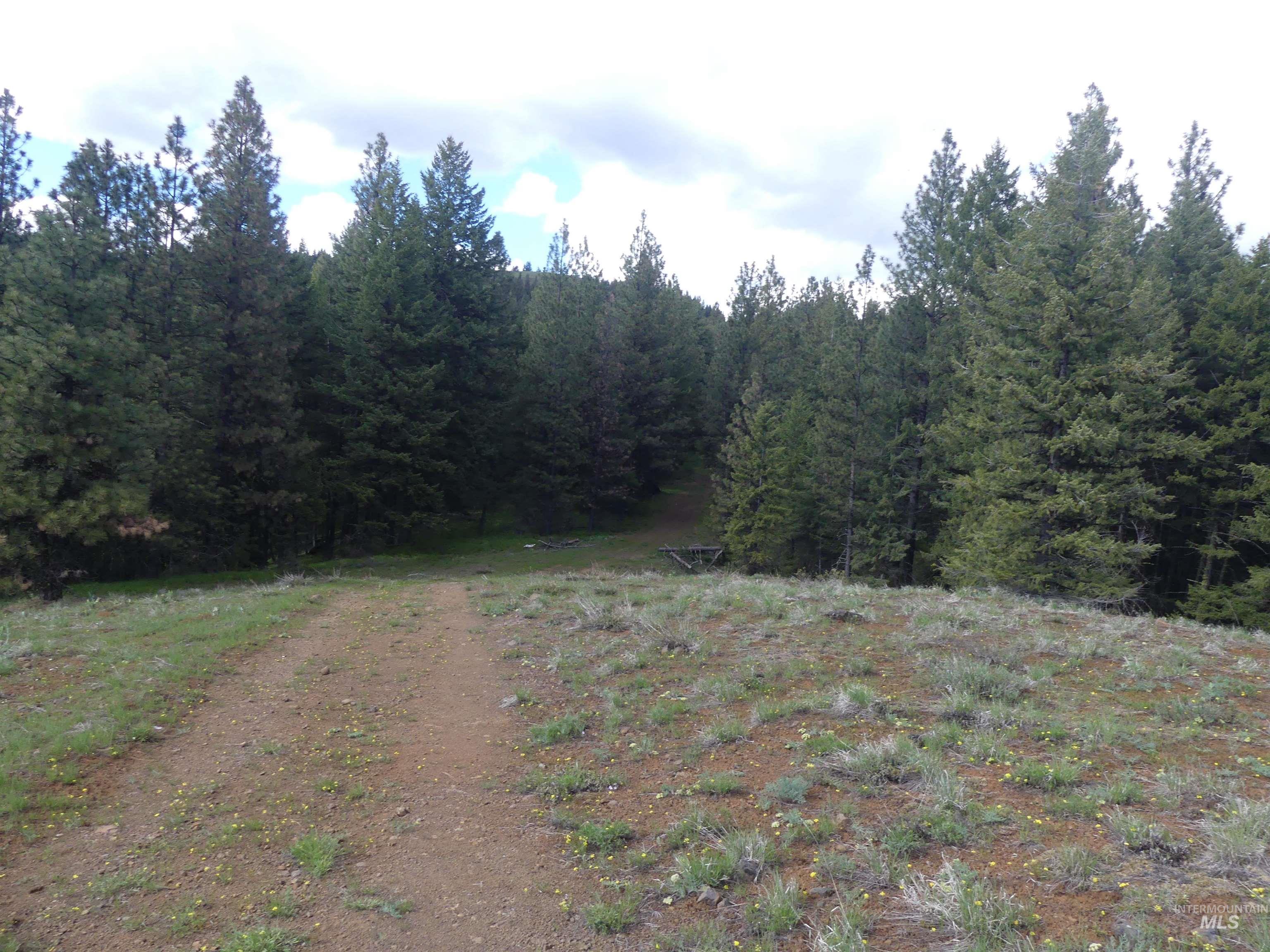 000 Hansen Ridge Road, Anatone, Washington 99401, Land For Sale, Price $350,000, 98910830