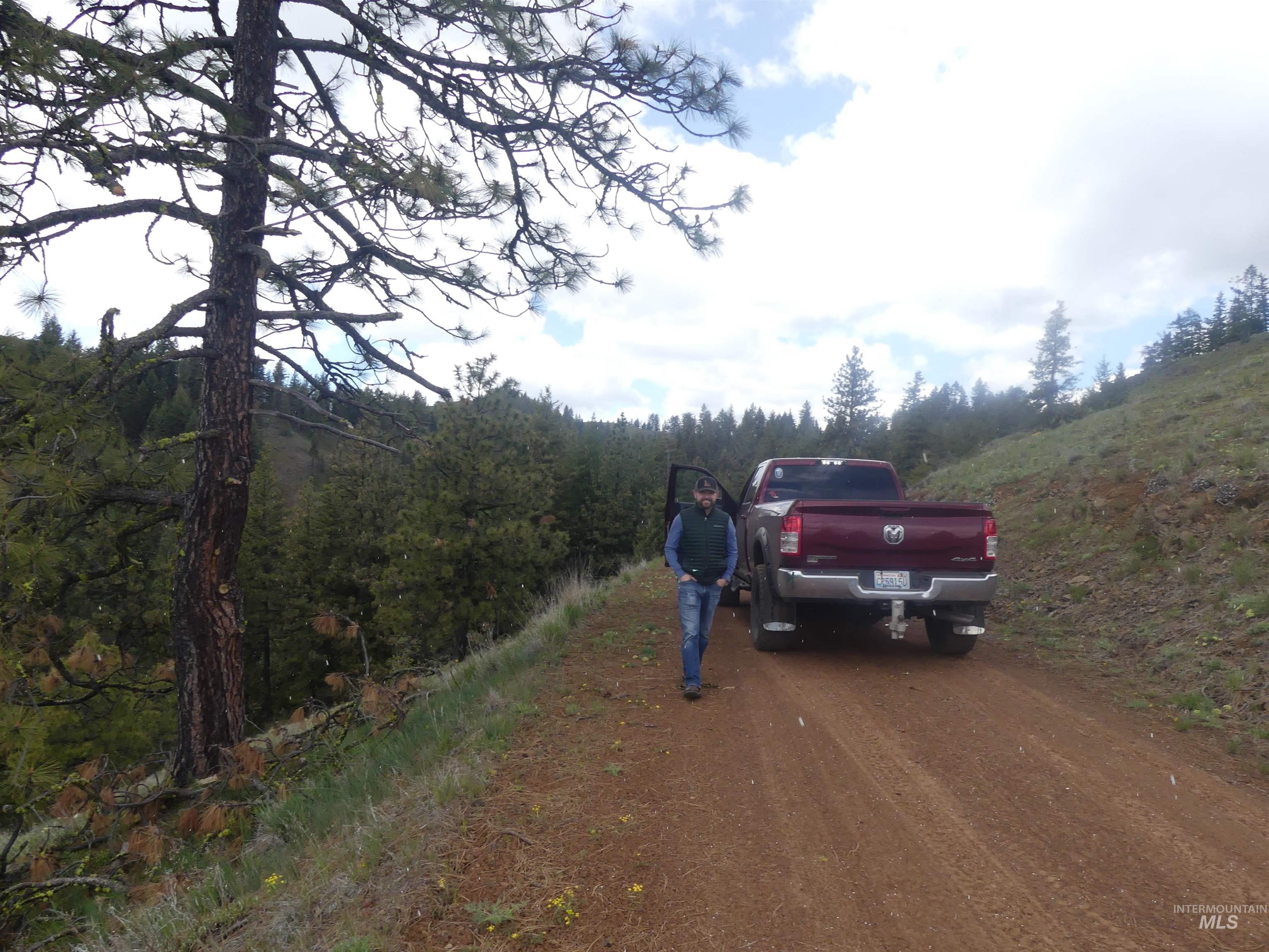 000 Hansen Ridge Road, Anatone, Washington 99401, Land For Sale, Price $350,000, 98910830