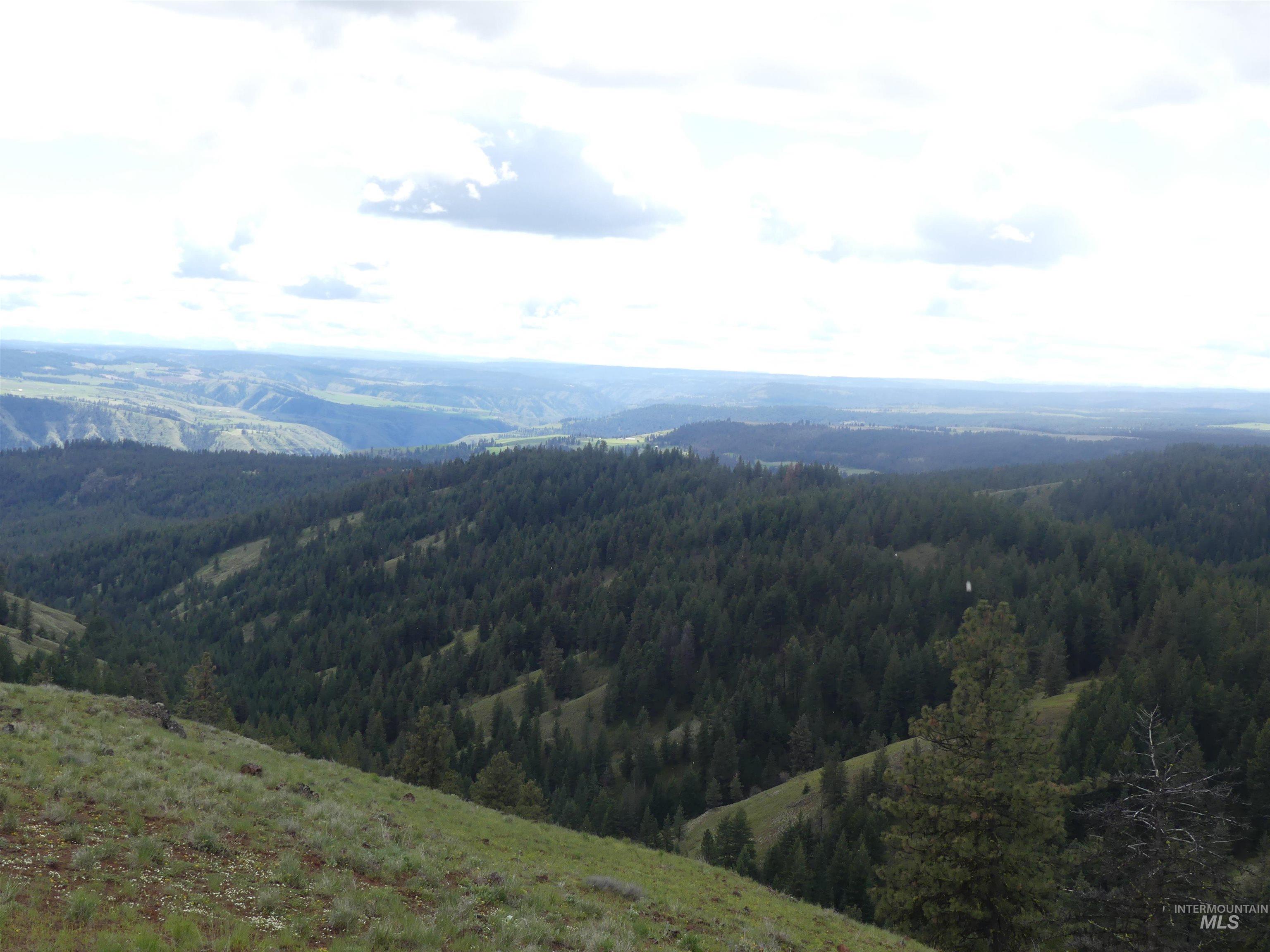 000 Hansen Ridge Road, Anatone, Washington 99401, Land For Sale, Price $350,000, 98910830