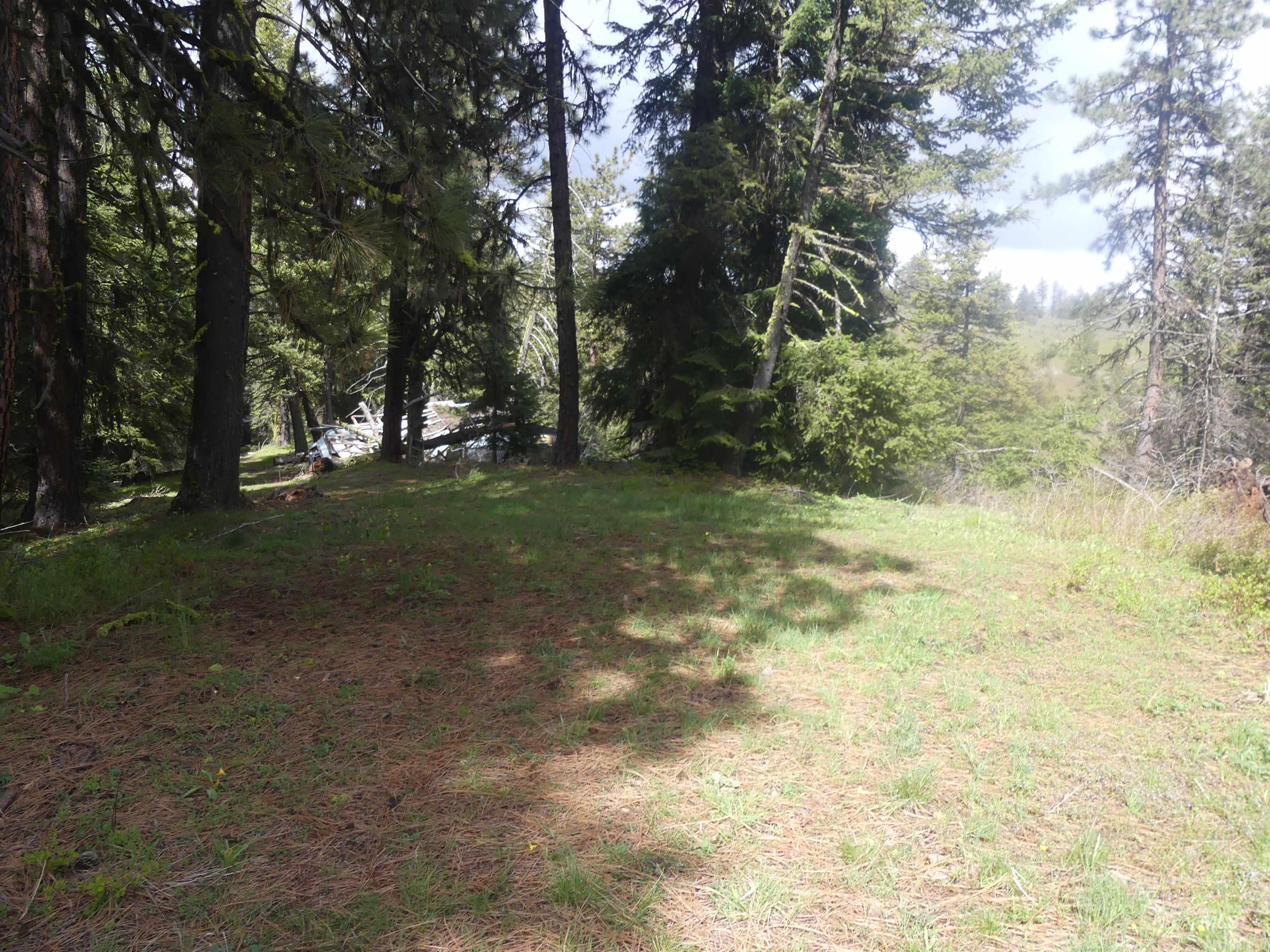 000 Hansen Ridge Road, Anatone, Washington 99401, Land For Sale, Price $350,000, 98910830