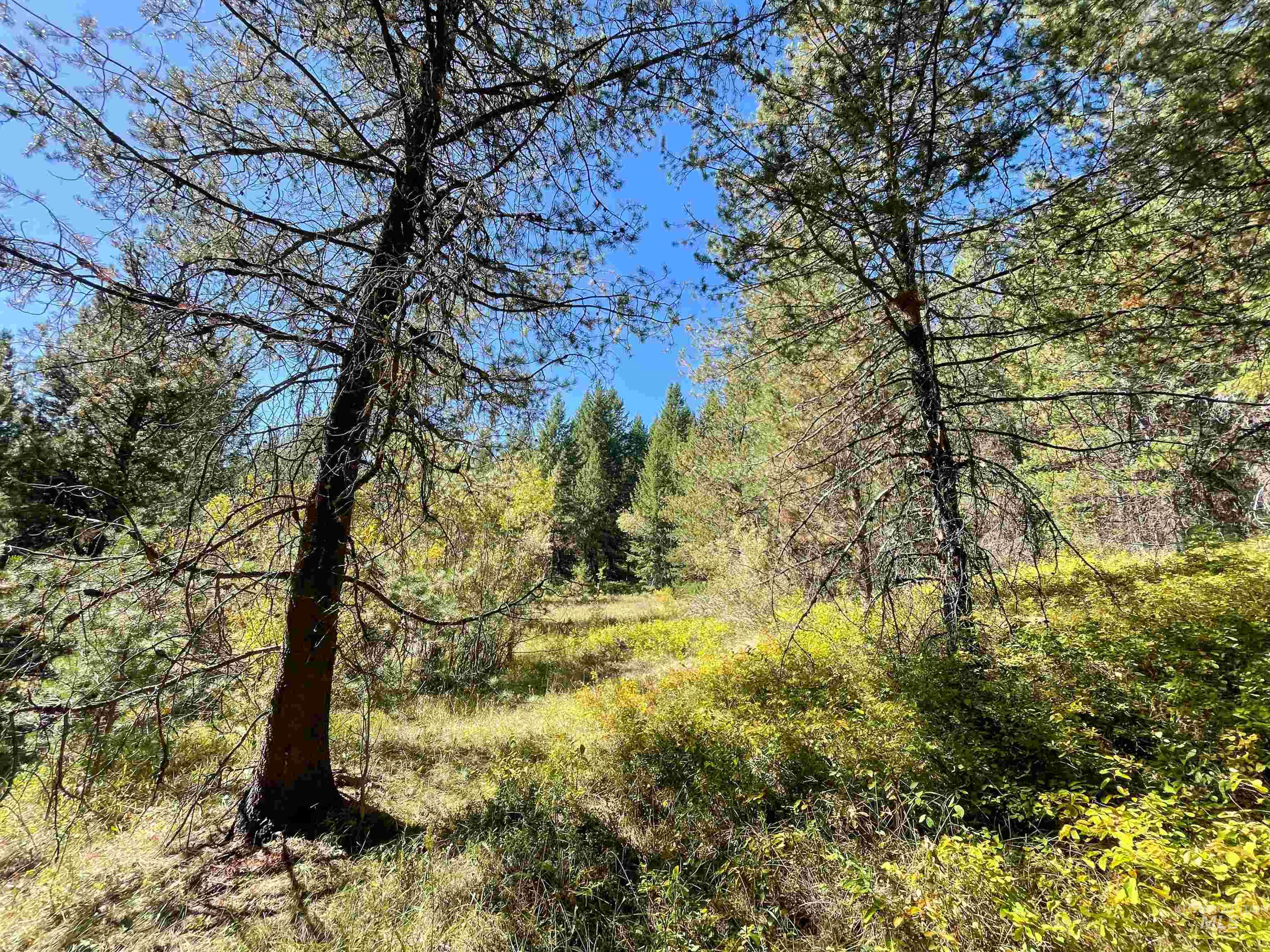 TBD 1-1 Horsethief Road, Cascade, Idaho 83611, Land For Sale, Price $748,230,MLS 98912249