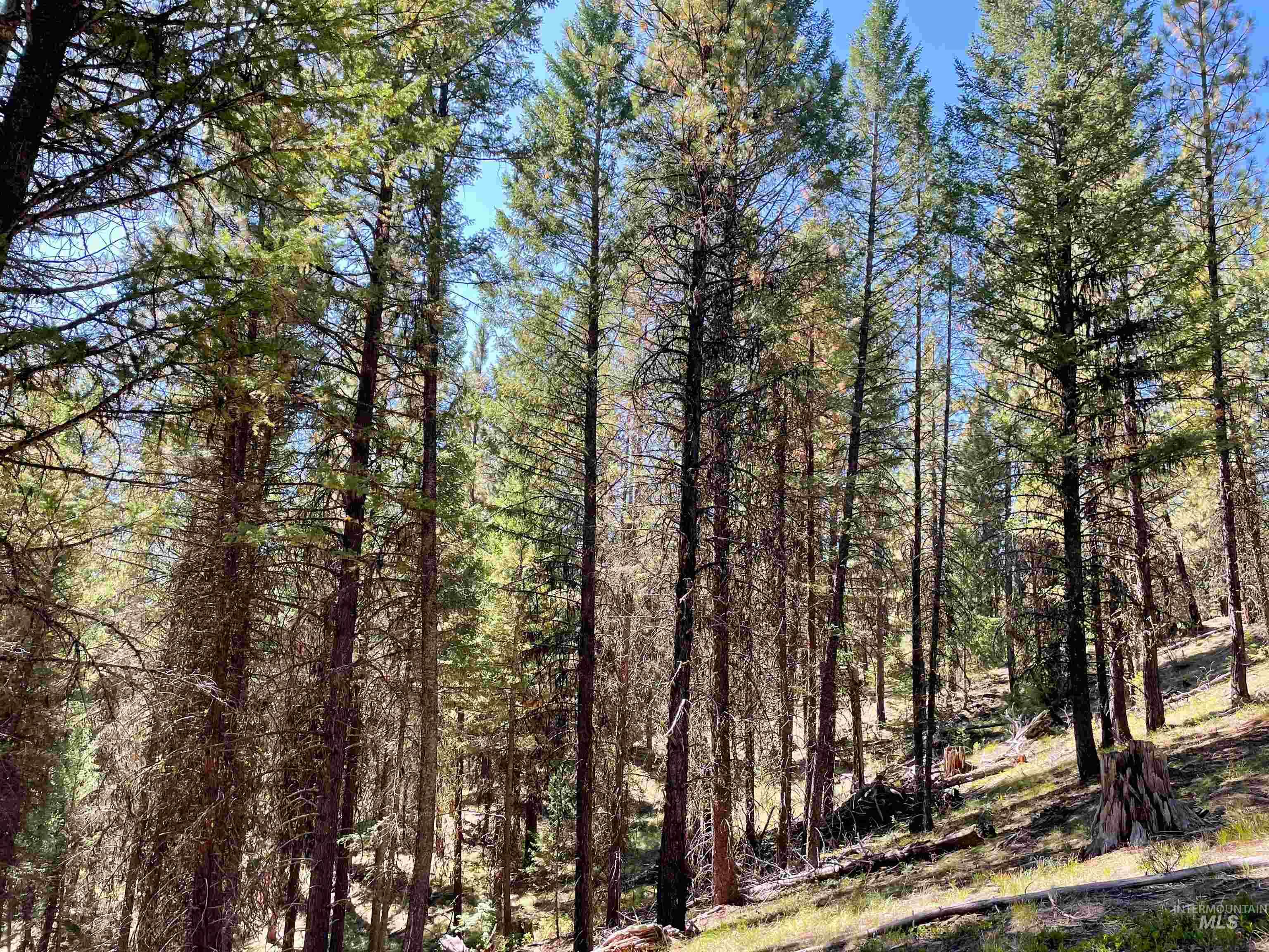TBD 1-1 Horsethief Road, Cascade, Idaho 83611, Land For Sale, Price $748,230,MLS 98912249