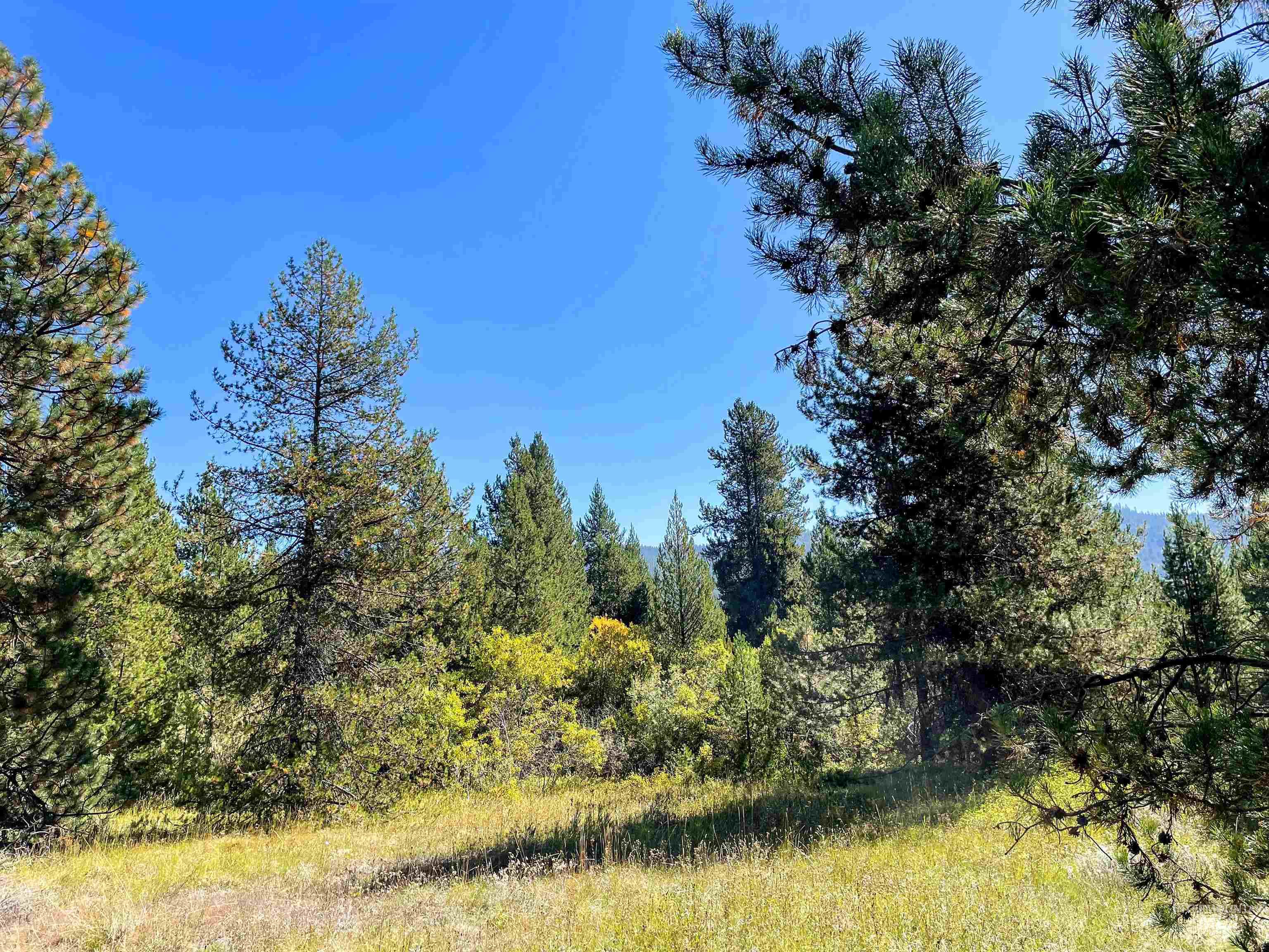 TBD 1-1 Horsethief Road, Cascade, Idaho 83611, Land For Sale, Price $748,230,MLS 98912249