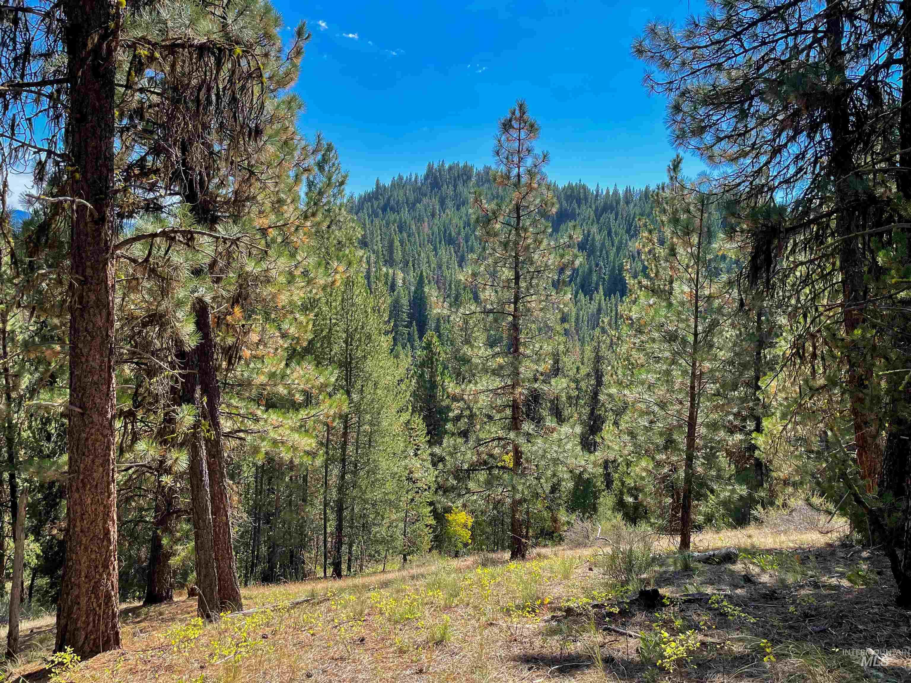 TBD 1-2 Horesthief Road, Cascade, Idaho 83611, Land For Sale, Price $342,335,MLS 98912396