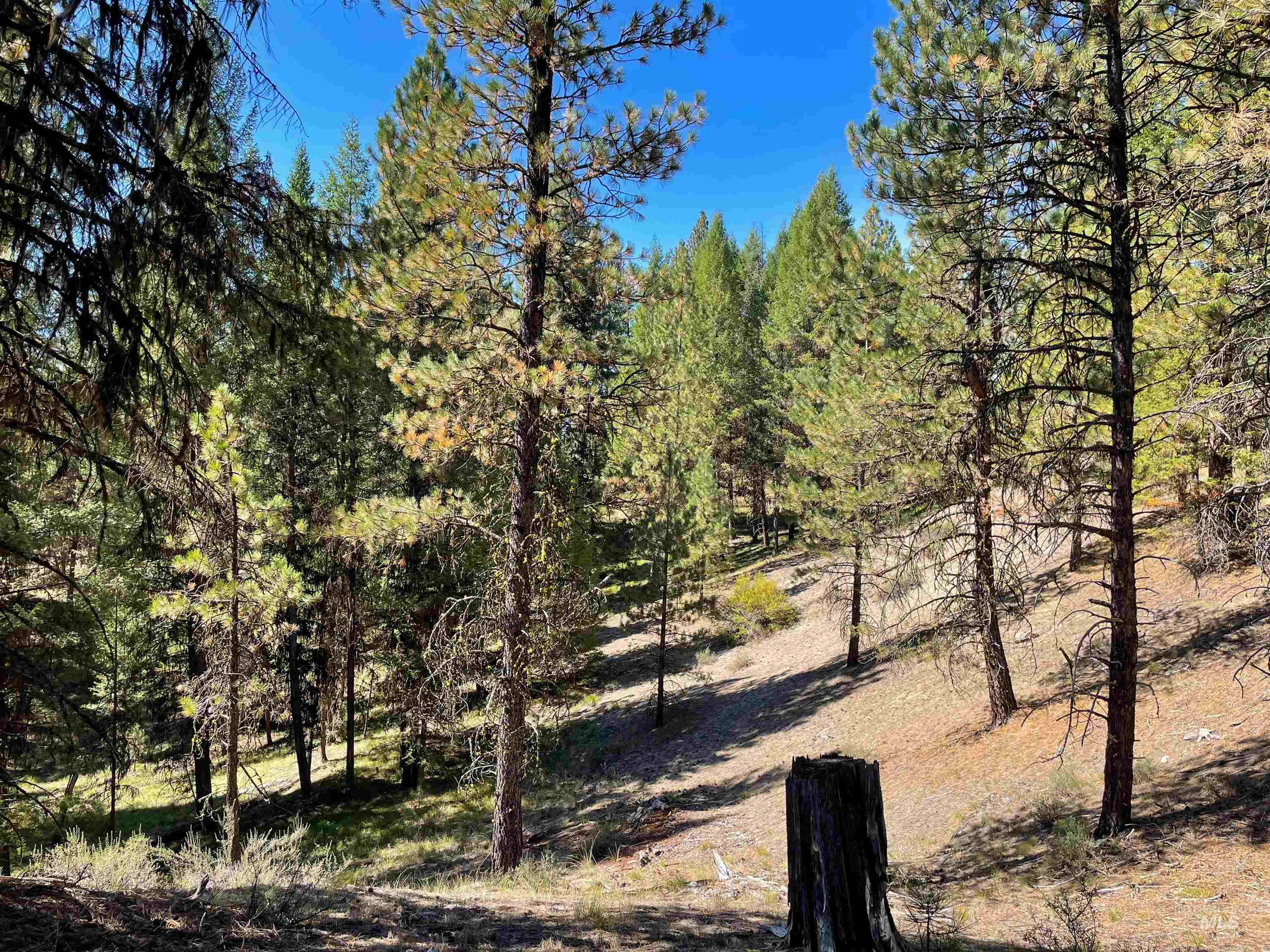 TBD 1-2 Horesthief Road, Cascade, Idaho 83611, Land For Sale, Price $342,335,MLS 98912396