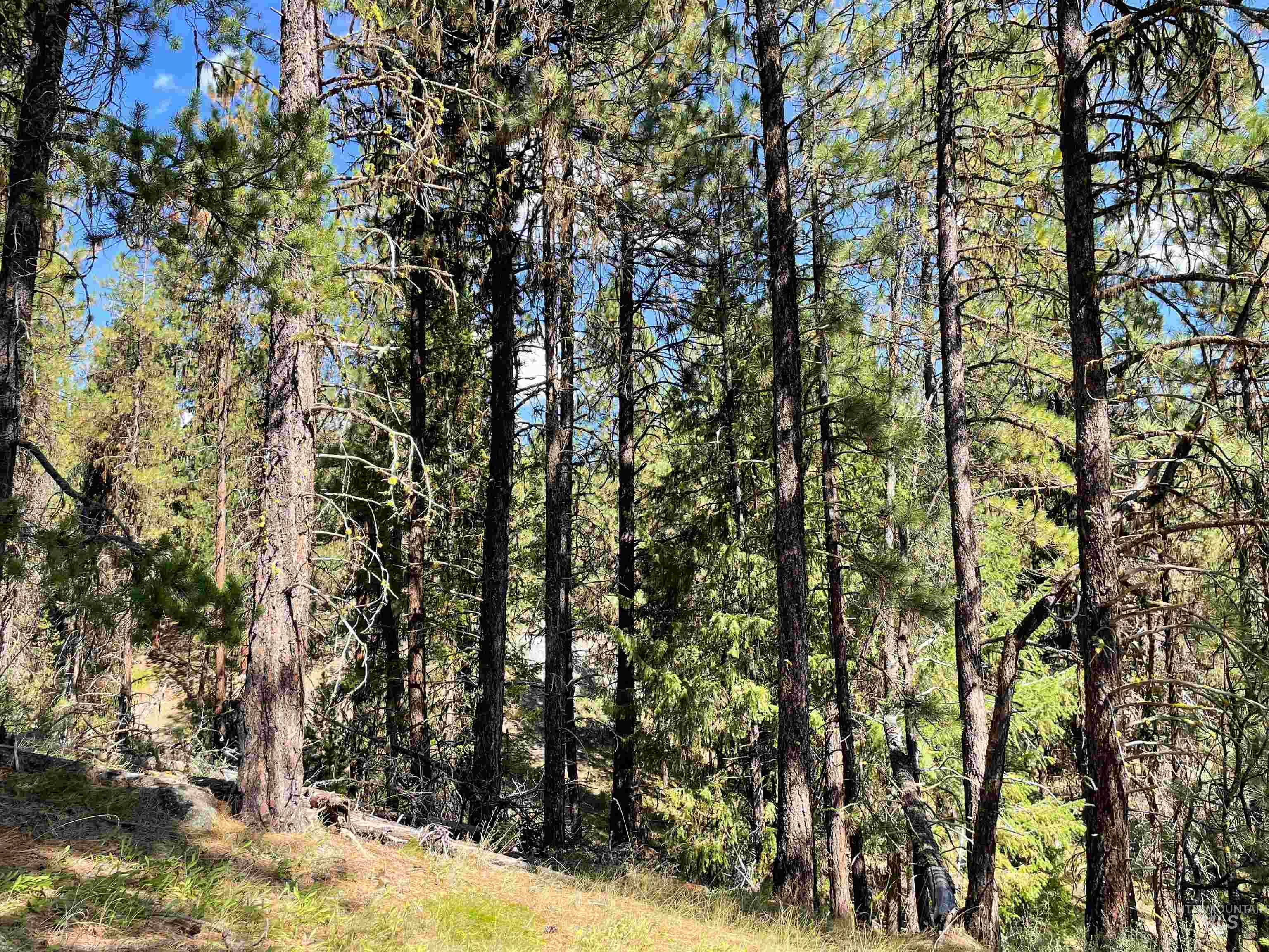 TBD 1-2 Horesthief Road, Cascade, Idaho 83611, Land For Sale, Price $342,335,MLS 98912396