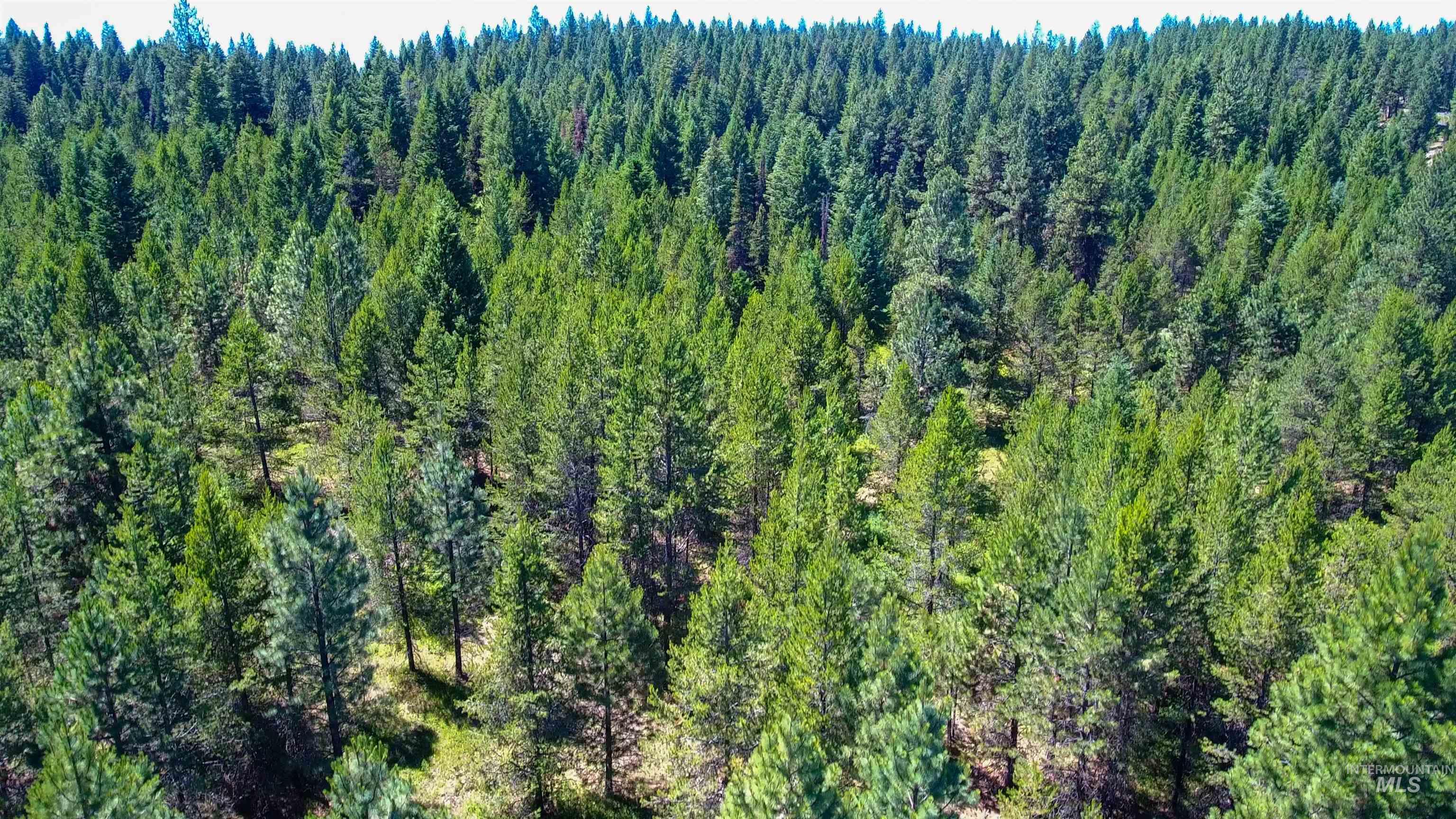 TBD 1-2 Horesthief Road, Cascade, Idaho 83611, Land For Sale, Price $342,335,MLS 98912396