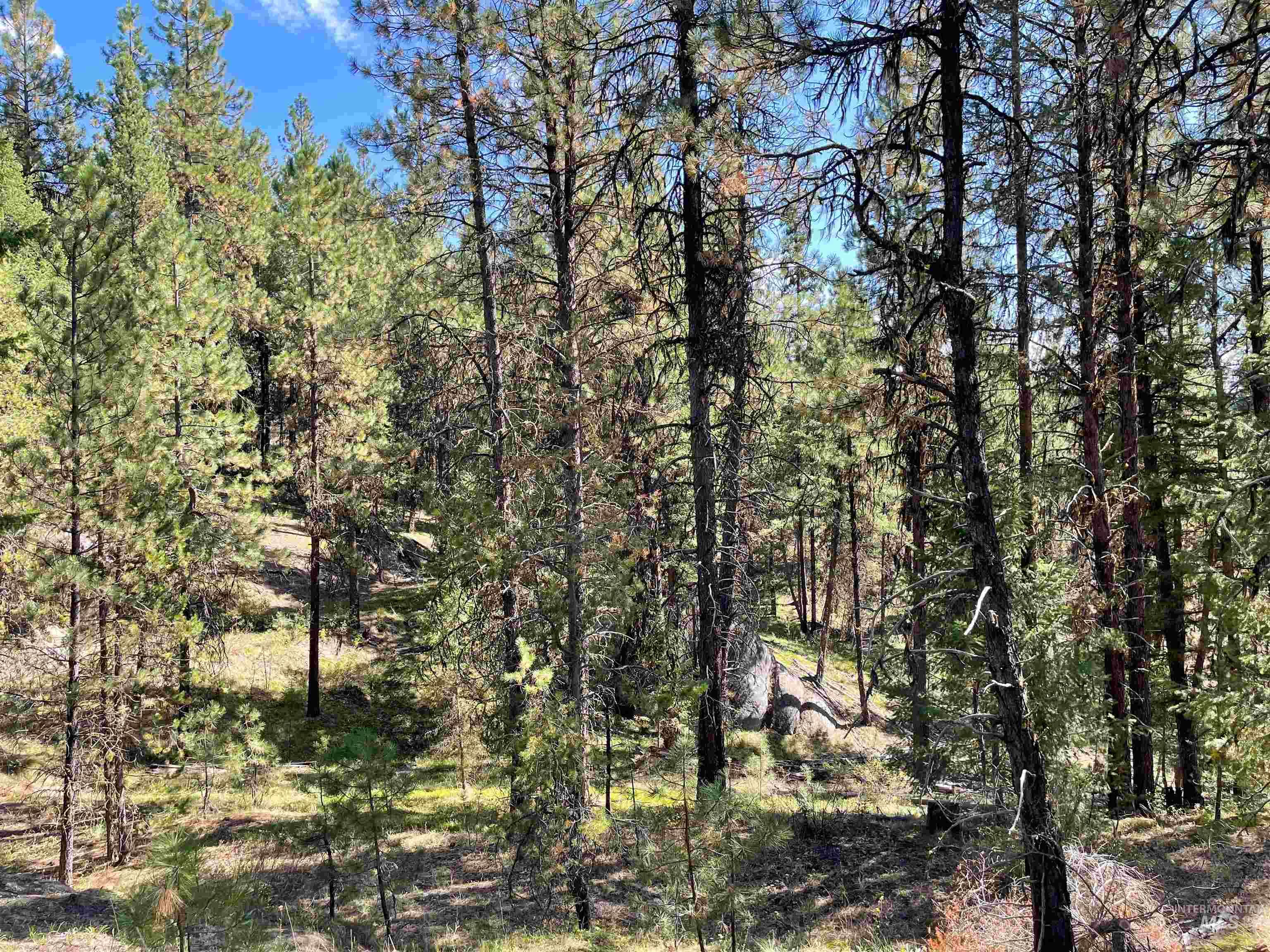 TBD 1-2 Horesthief Road, Cascade, Idaho 83611, Land For Sale, Price $342,335,MLS 98912396