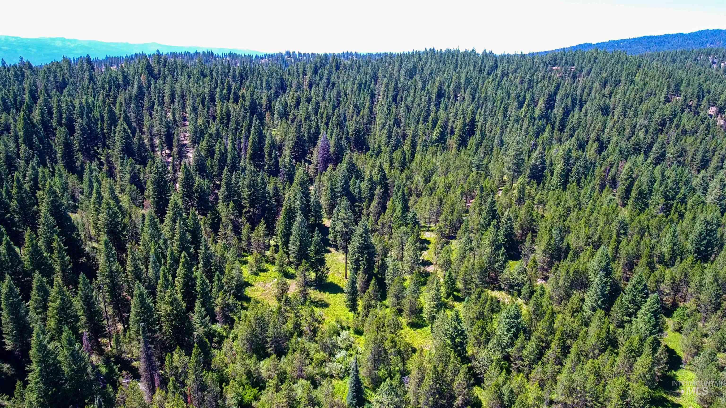 TBD 1-3 Horsethief Rd., Cascade, Idaho 83611, Land For Sale, Price $342,370,MLS 98912461