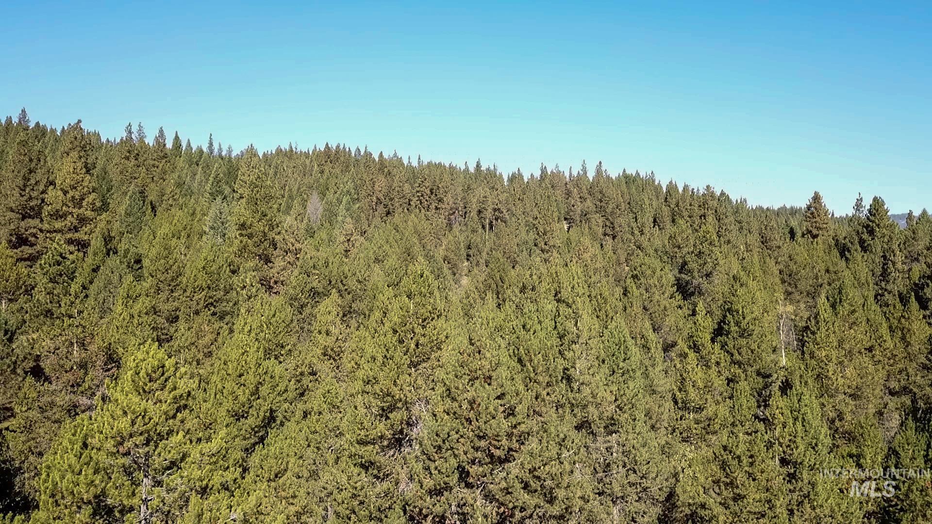 TBD 1-3 Horsethief Rd., Cascade, Idaho 83611, Land For Sale, Price $342,370,MLS 98912461