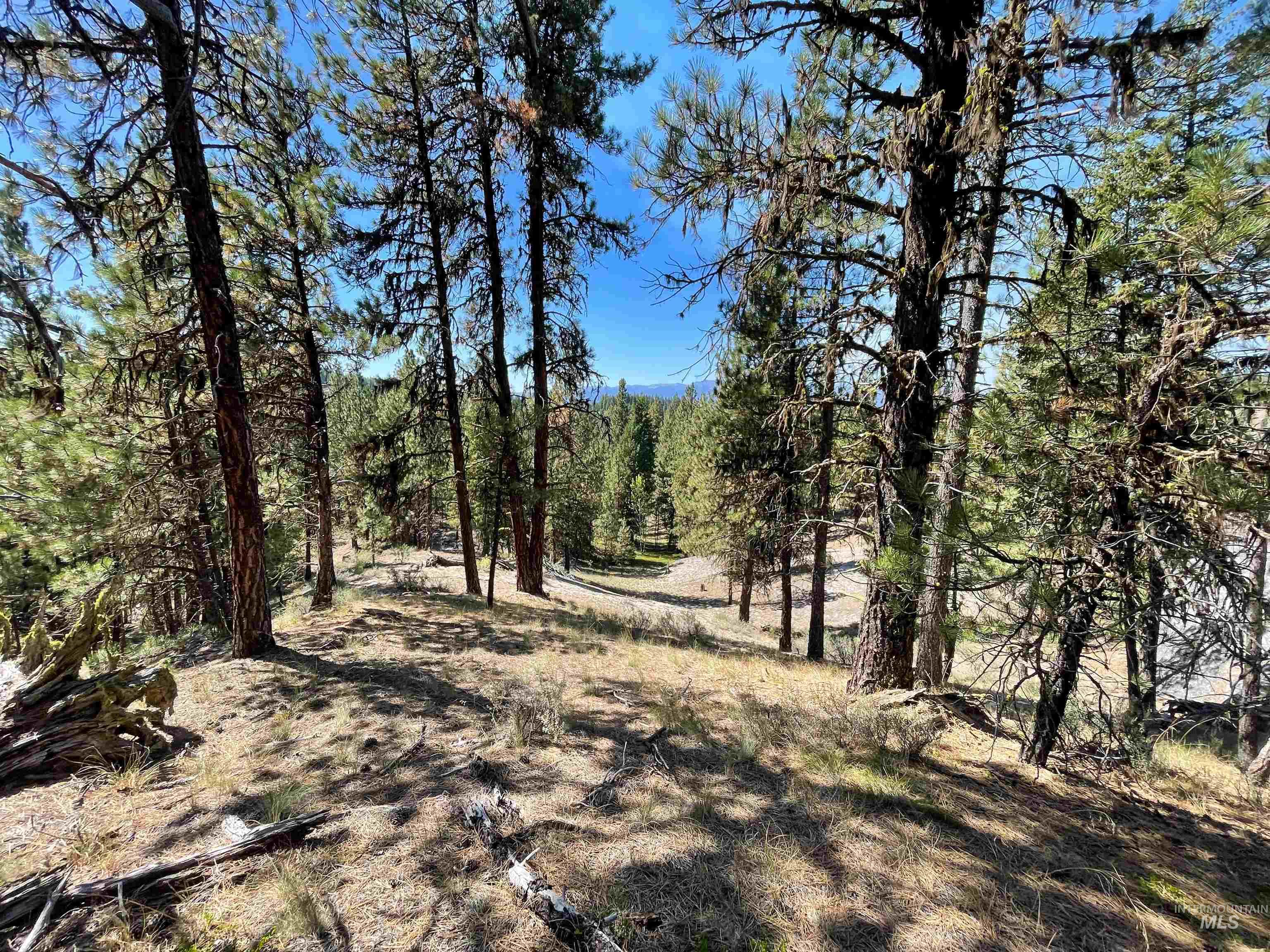 TBD 1-3 Horsethief Rd., Cascade, Idaho 83611, Land For Sale, Price $342,370,MLS 98912461