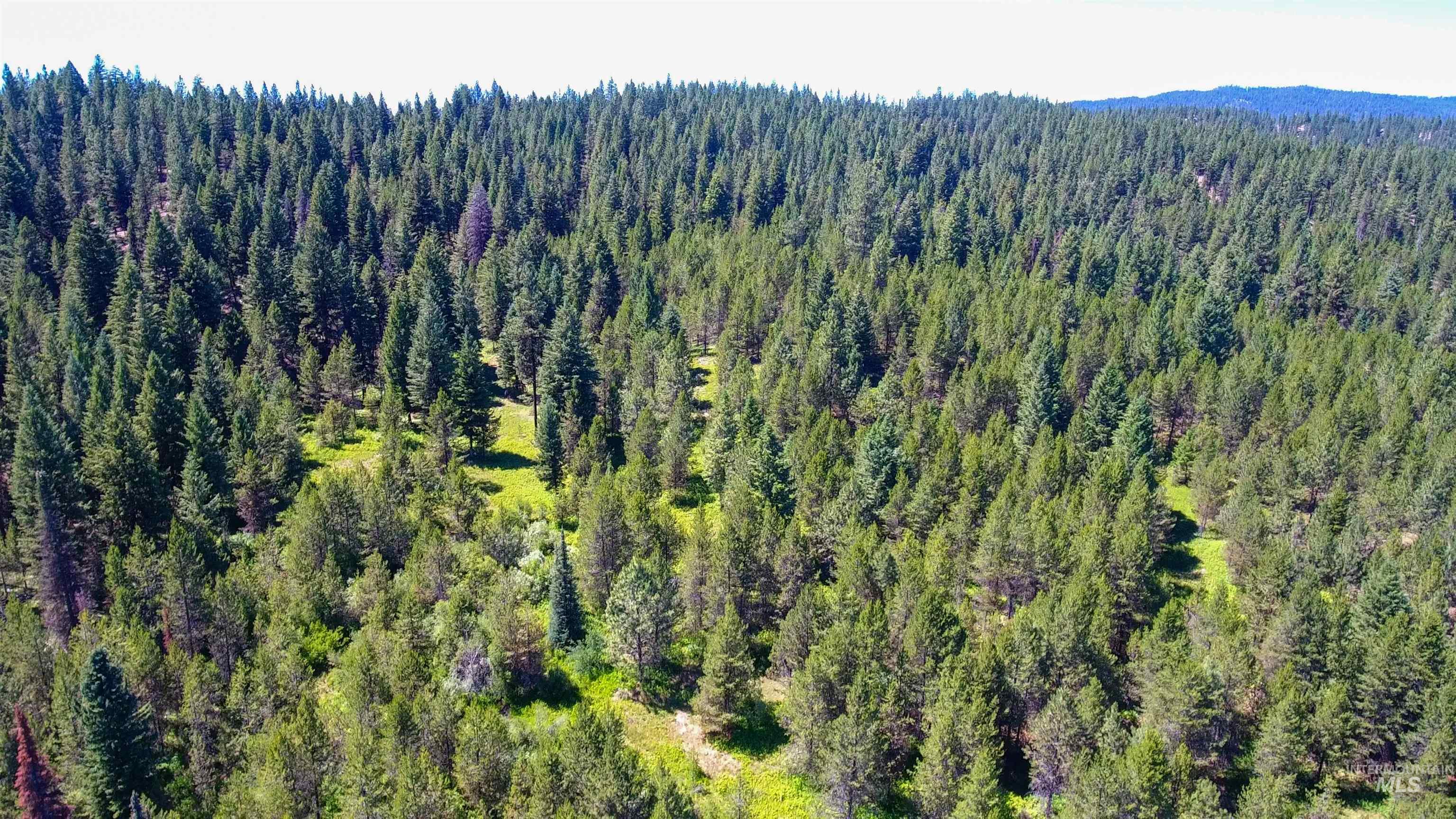 TBD 1-3 Horsethief Rd., Cascade, Idaho 83611, Land For Sale, Price $342,370,MLS 98912461