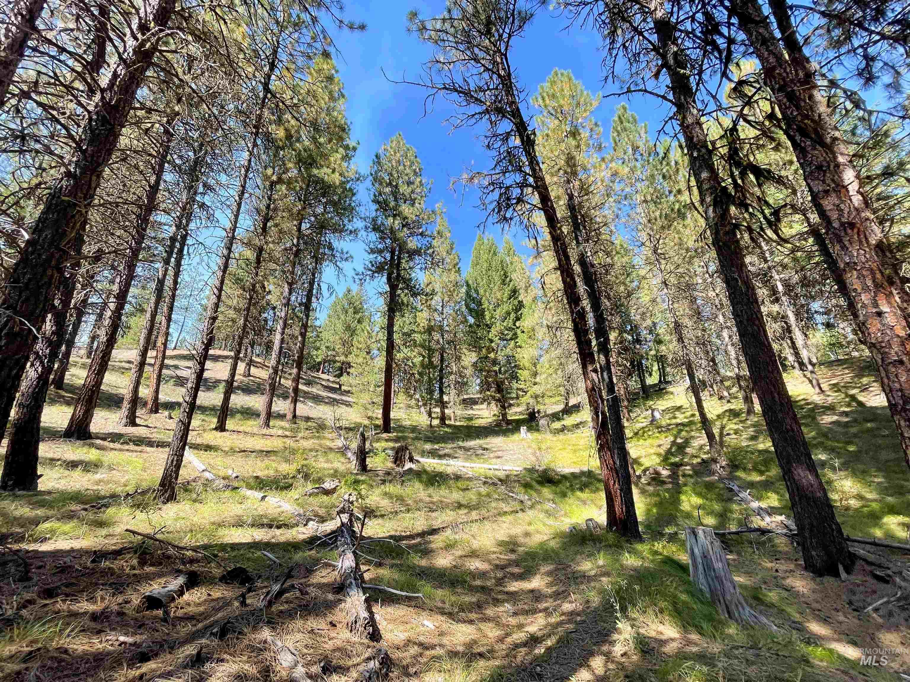 TBD 1-3 Horsethief Rd., Cascade, Idaho 83611, Land For Sale, Price $342,370,MLS 98912461