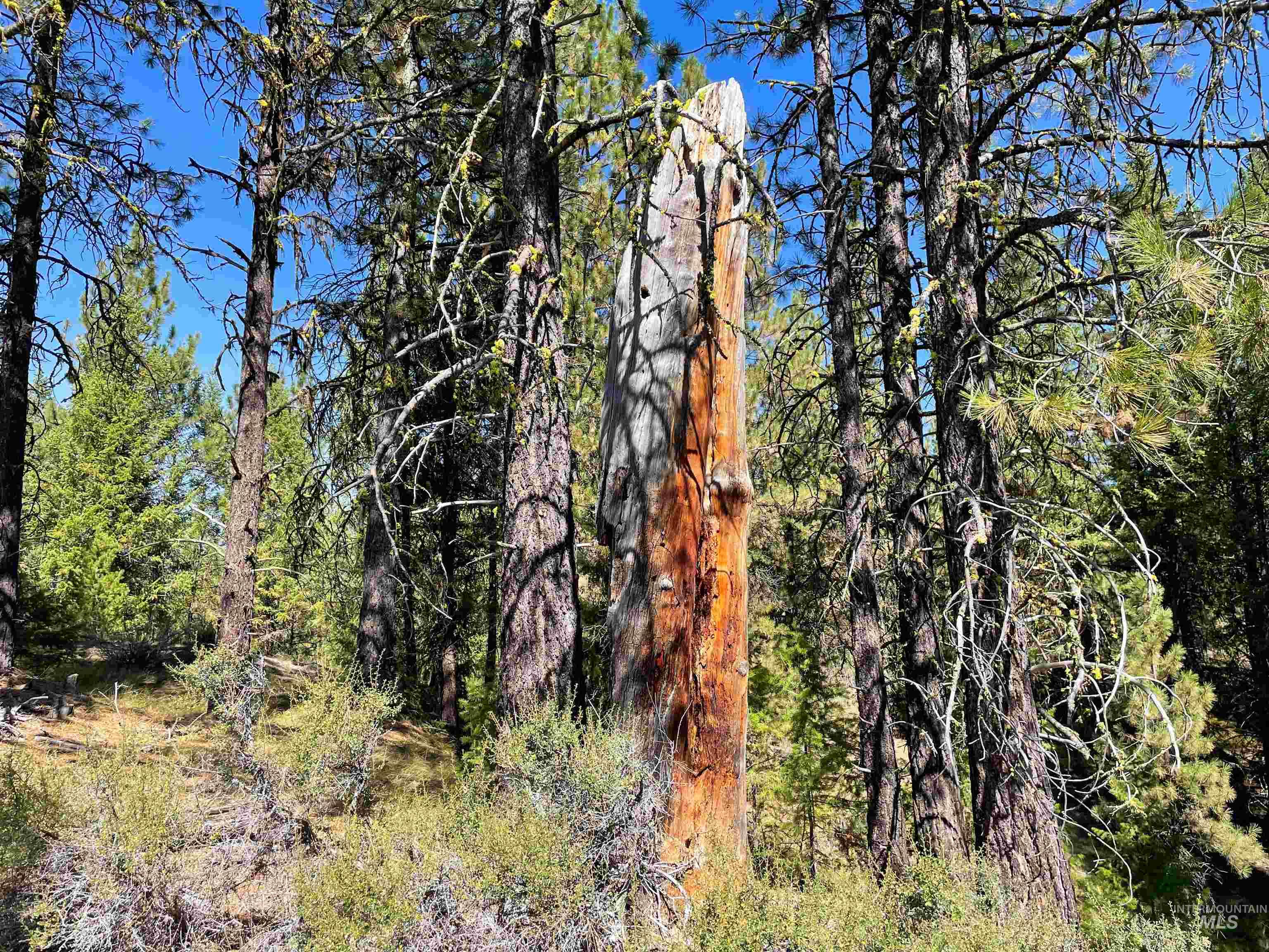 TBD 1-3 Horsethief Rd., Cascade, Idaho 83611, Land For Sale, Price $342,370,MLS 98912461