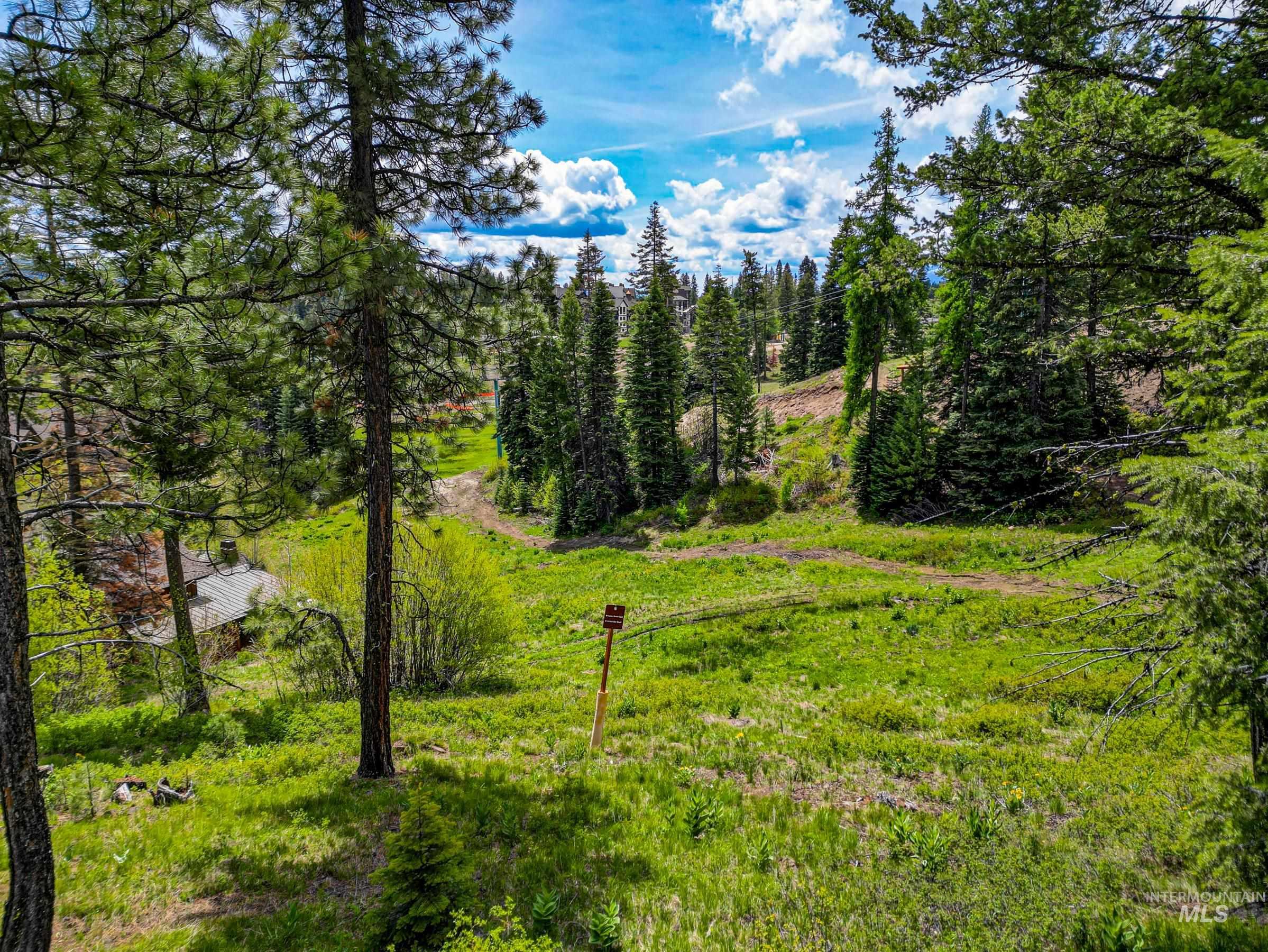 123 Veil Cave Ct, Donnelly, Idaho 83615, Land For Sale, Price $1,900,000, 98912750