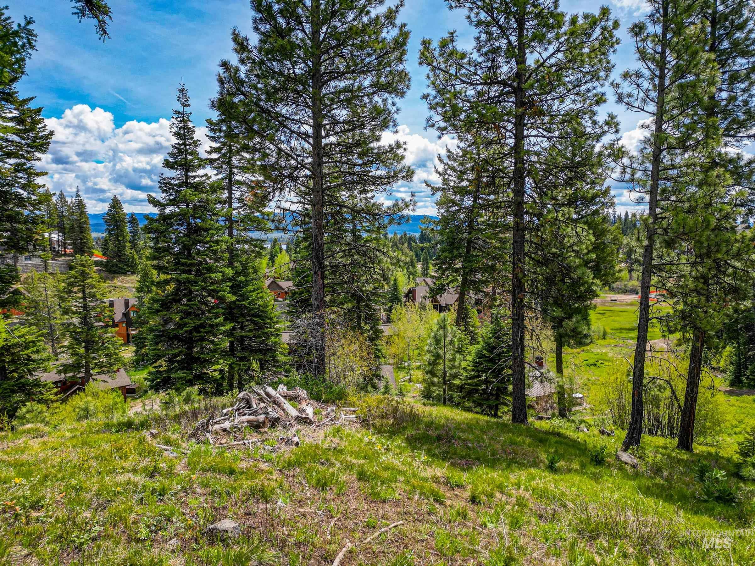 123 Veil Cave Ct, Donnelly, Idaho 83615, Land For Sale, Price $1,900,000, 98912750