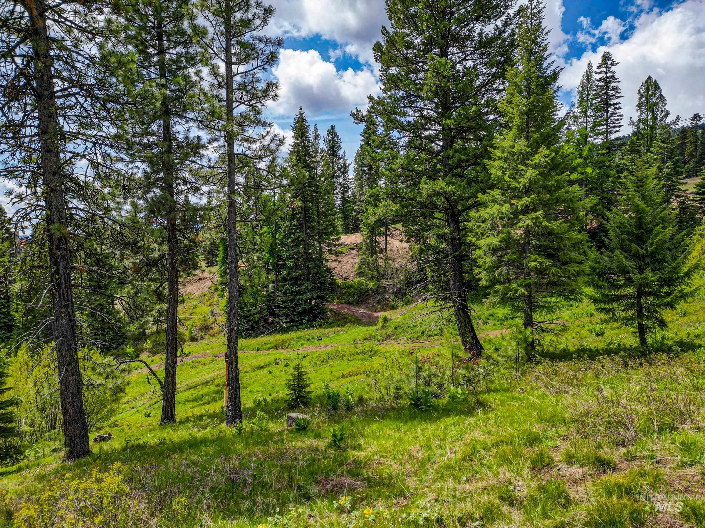 123 Veil Cave Ct, Donnelly, Idaho 83615, Land For Sale, Price $1,900,000, 98912750