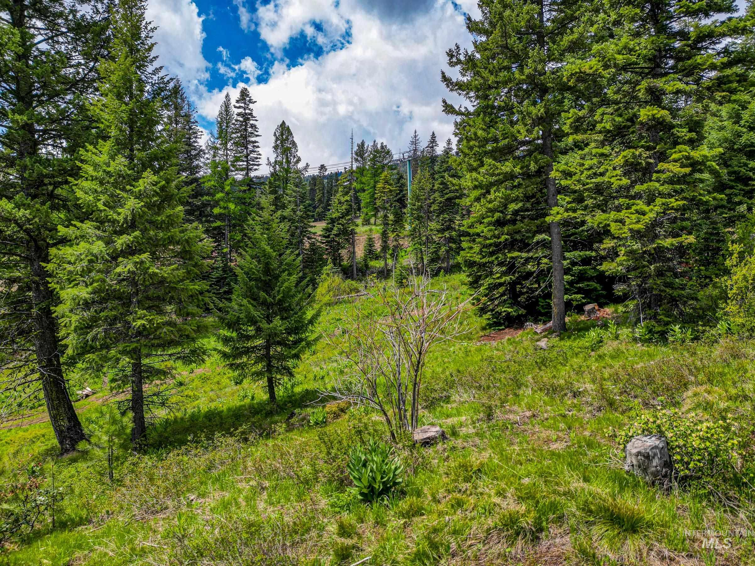 123 Veil Cave Ct, Donnelly, Idaho 83615, Land For Sale, Price $1,900,000, 98912750