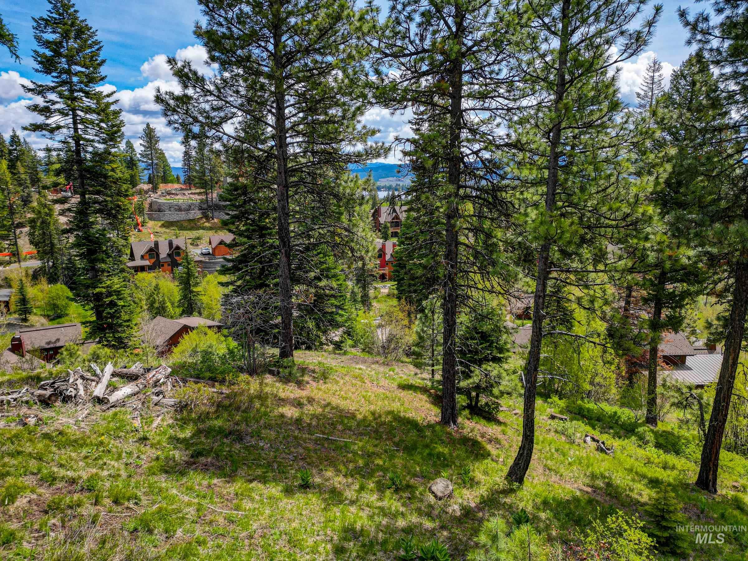 123 Veil Cave Ct, Donnelly, Idaho 83615, Land For Sale, Price $1,900,000, 98912750