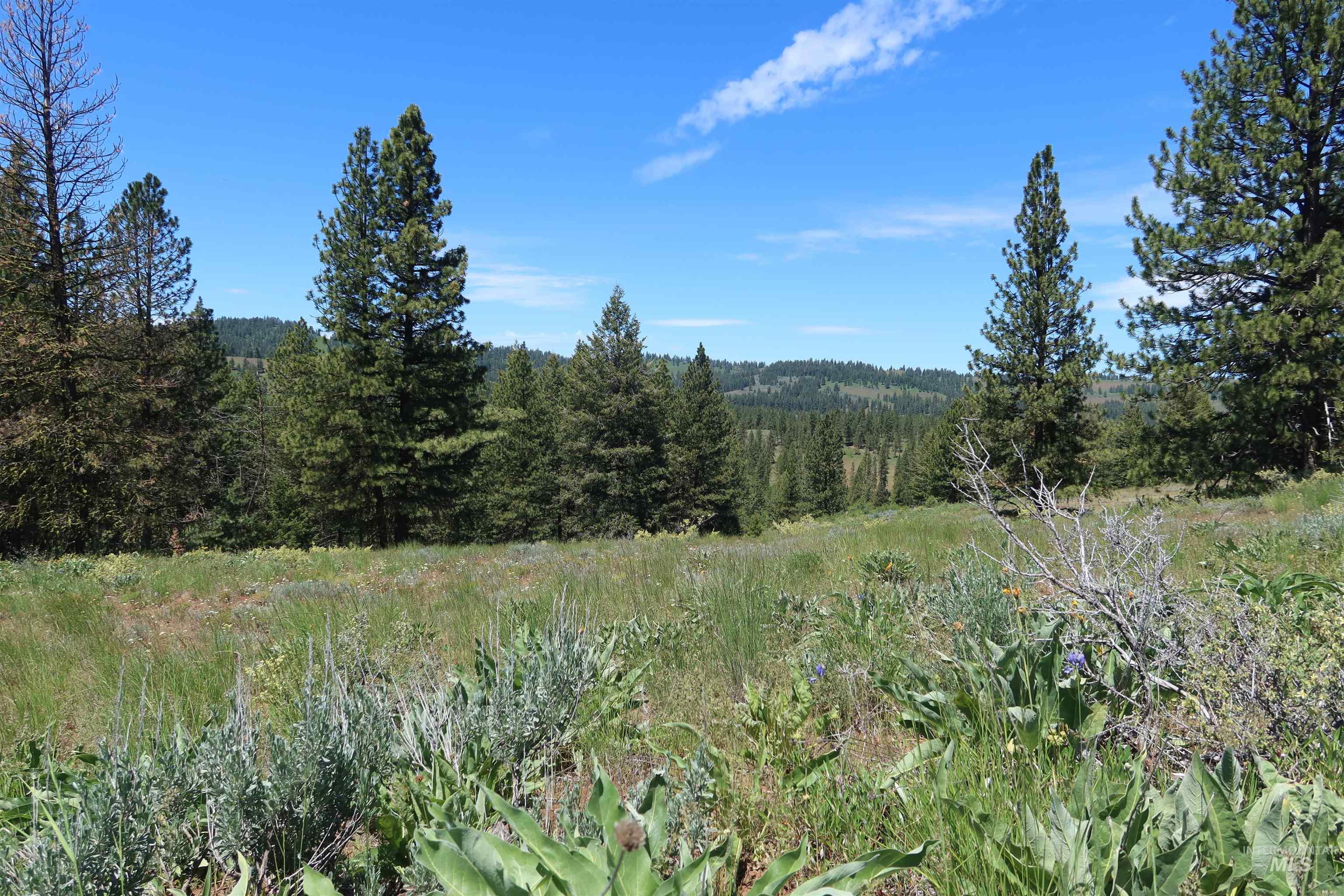 TBD Council Cuprum Rd, Council, Idaho 83612, Land For Sale, Price $399,000,MLS 98912914
