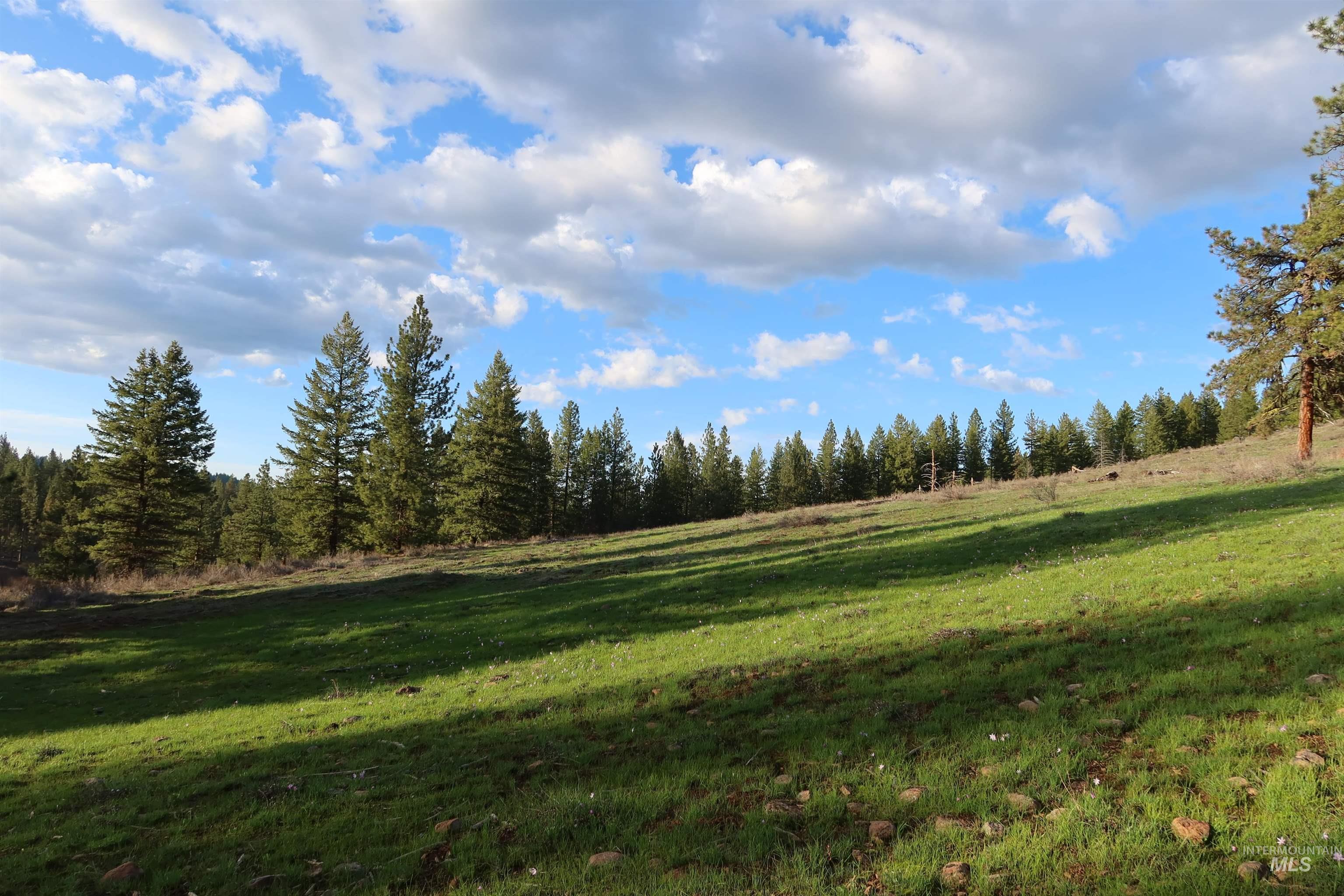 TBD Council Cuprum Rd, Council, Idaho 83612, Land For Sale, Price $399,000,MLS 98912914