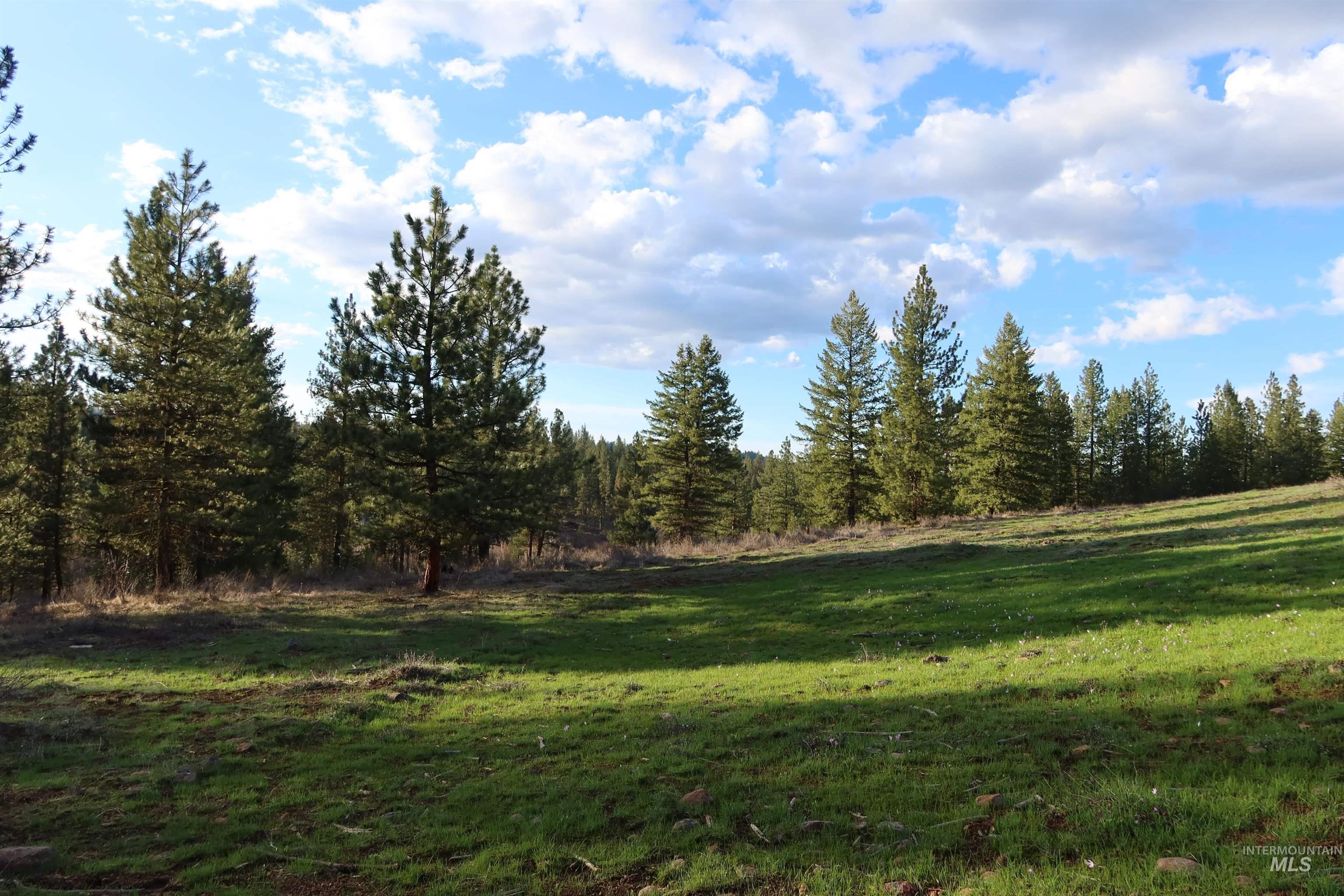 TBD Council Cuprum Rd, Council, Idaho 83612, Land For Sale, Price $399,000,MLS 98912914