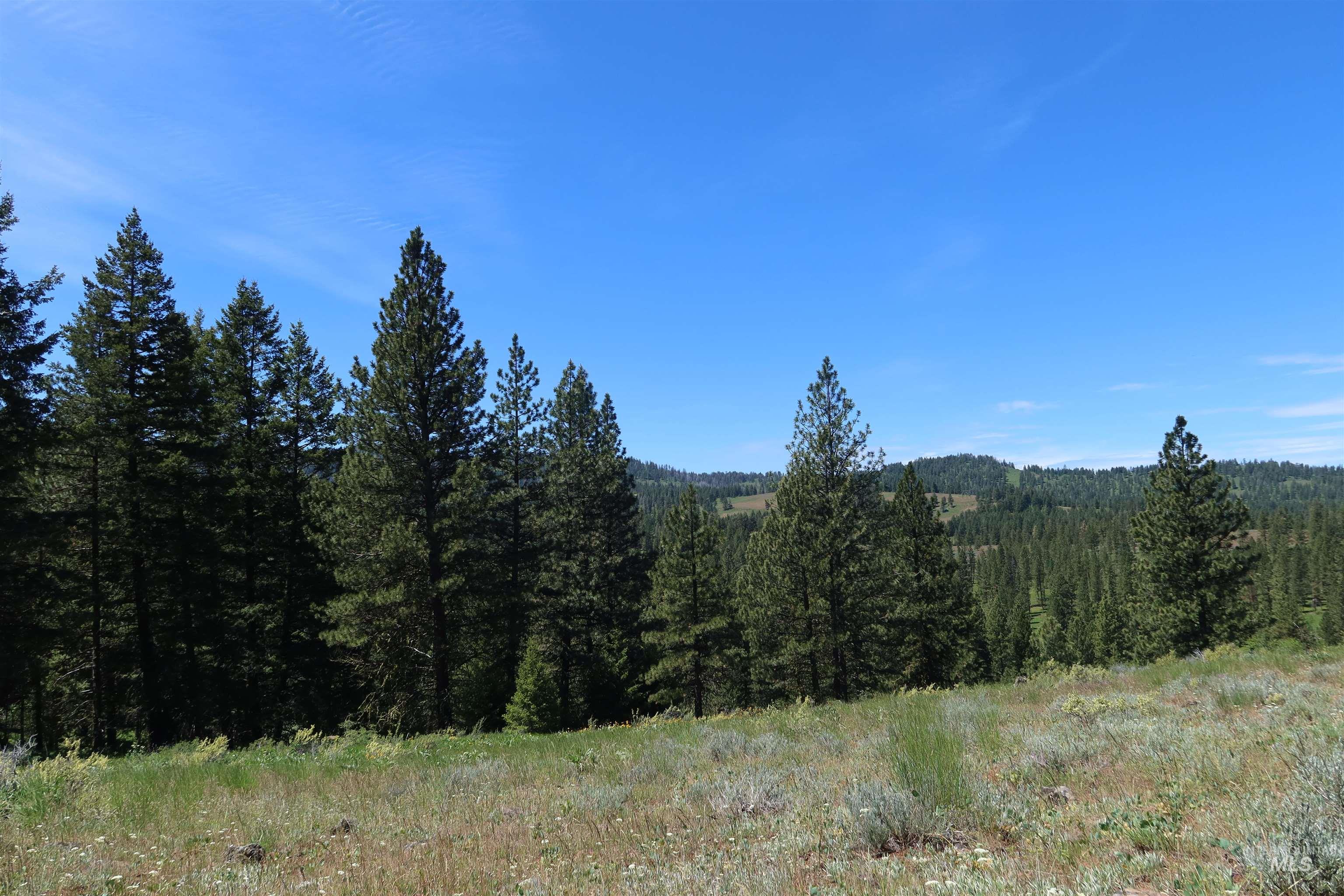 TBD Council Cuprum Rd, Council, Idaho 83612, Land For Sale, Price $399,000,MLS 98912914