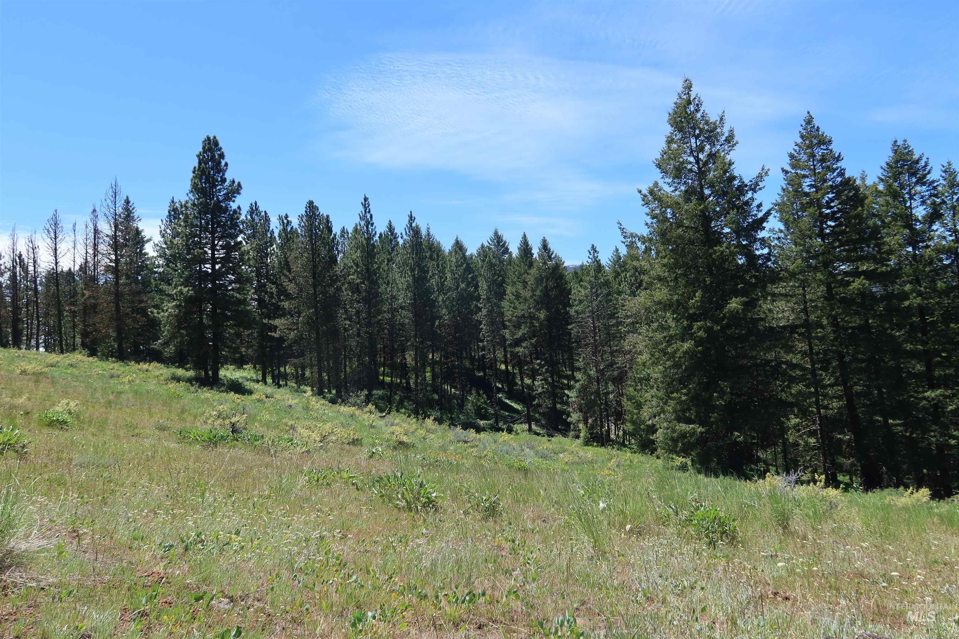TBD Council Cuprum Rd, Council, Idaho 83612, Land For Sale, Price $399,000,MLS 98912914
