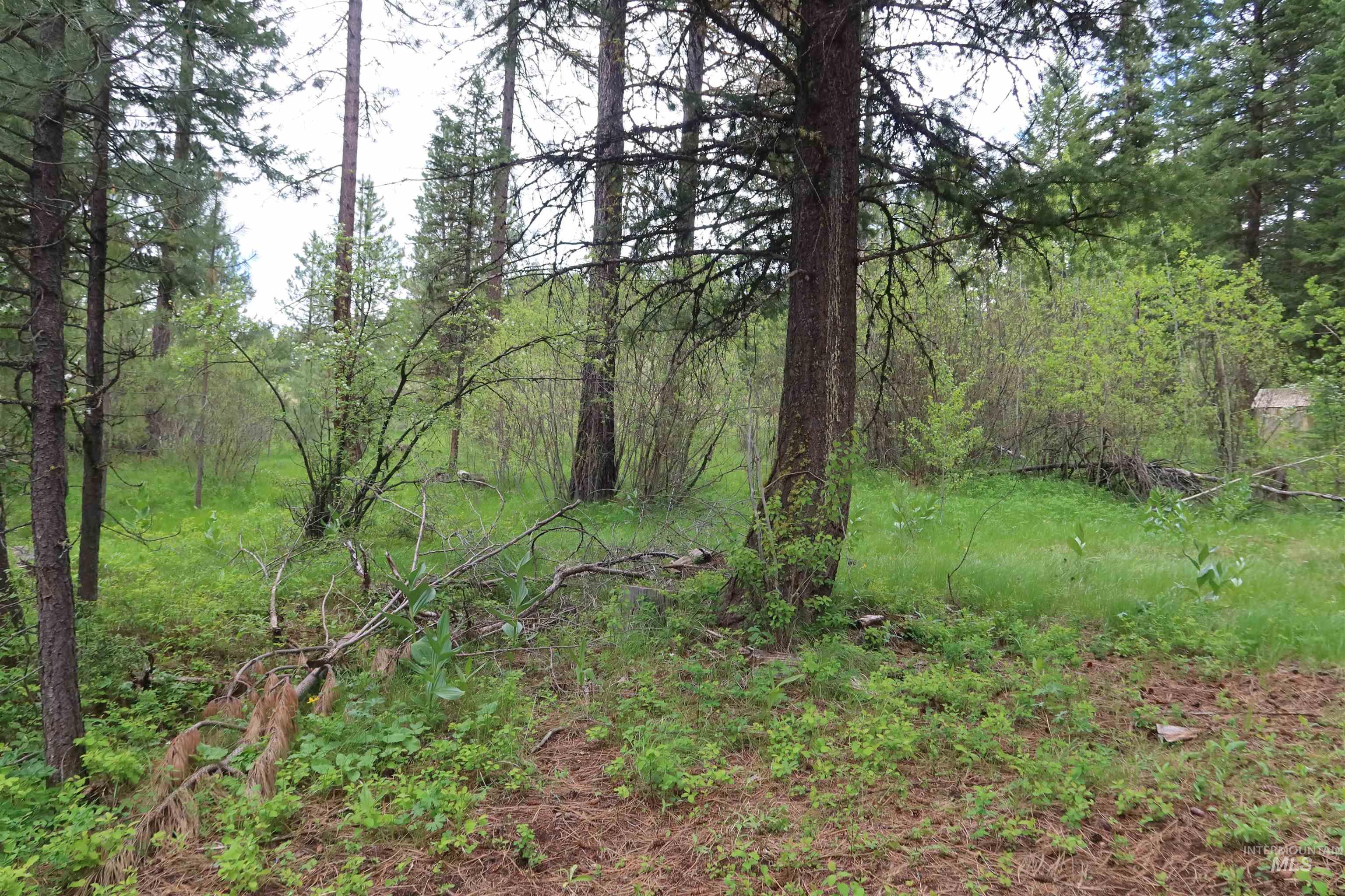TBD Council Cuprum Rd, Council, Idaho 83612, Land For Sale, Price $399,000,MLS 98912914