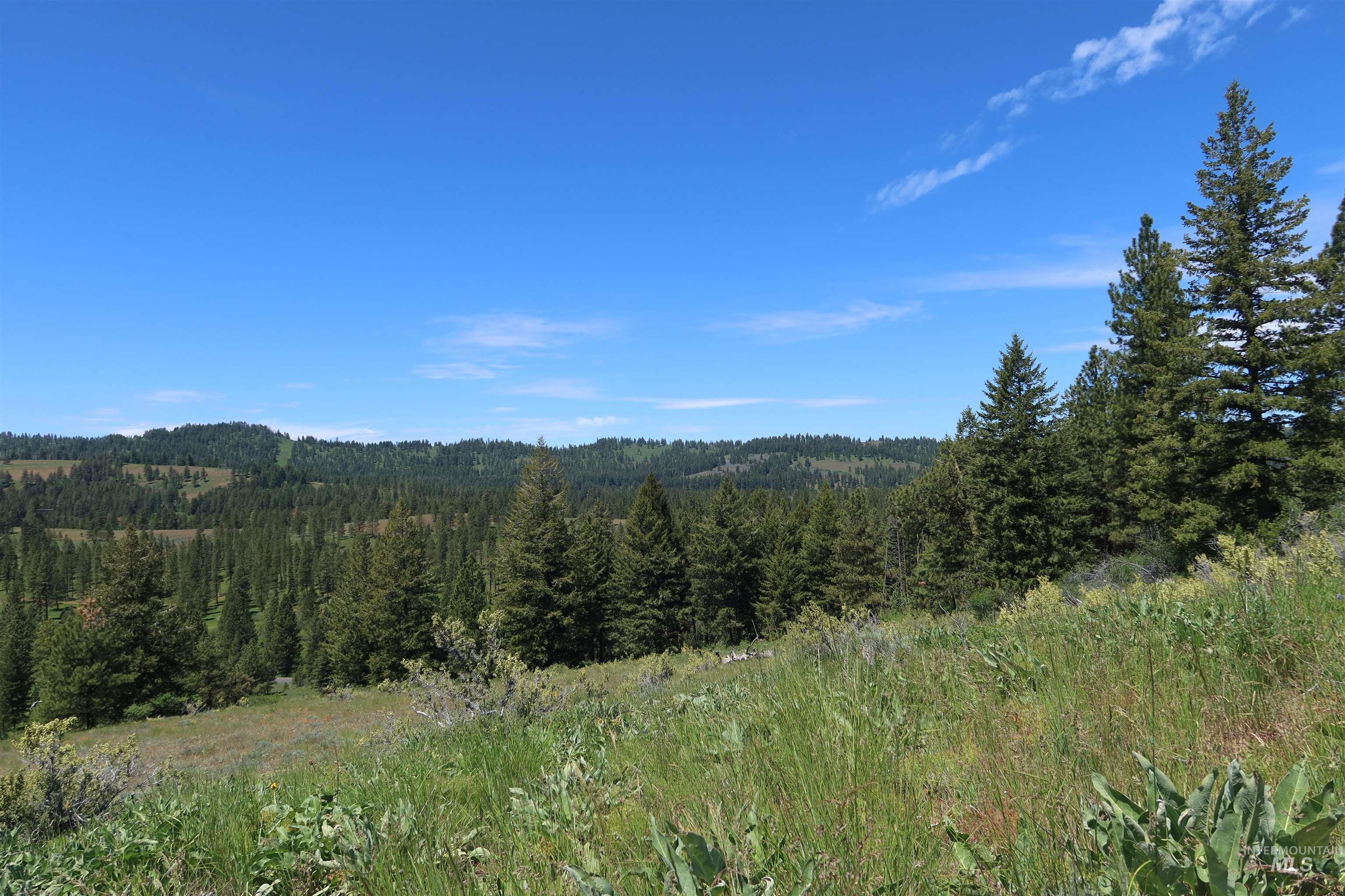 TBD Council Cuprum Rd, Council, Idaho 83612, Land For Sale, Price $399,000,MLS 98912914