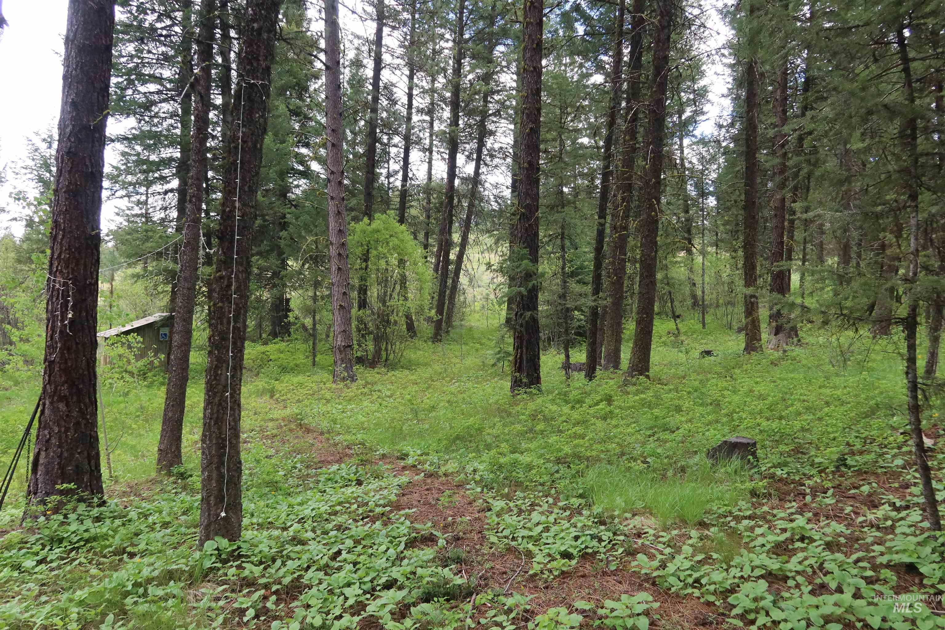 TBD Council Cuprum Rd, Council, Idaho 83612, Land For Sale, Price $399,000,MLS 98912914