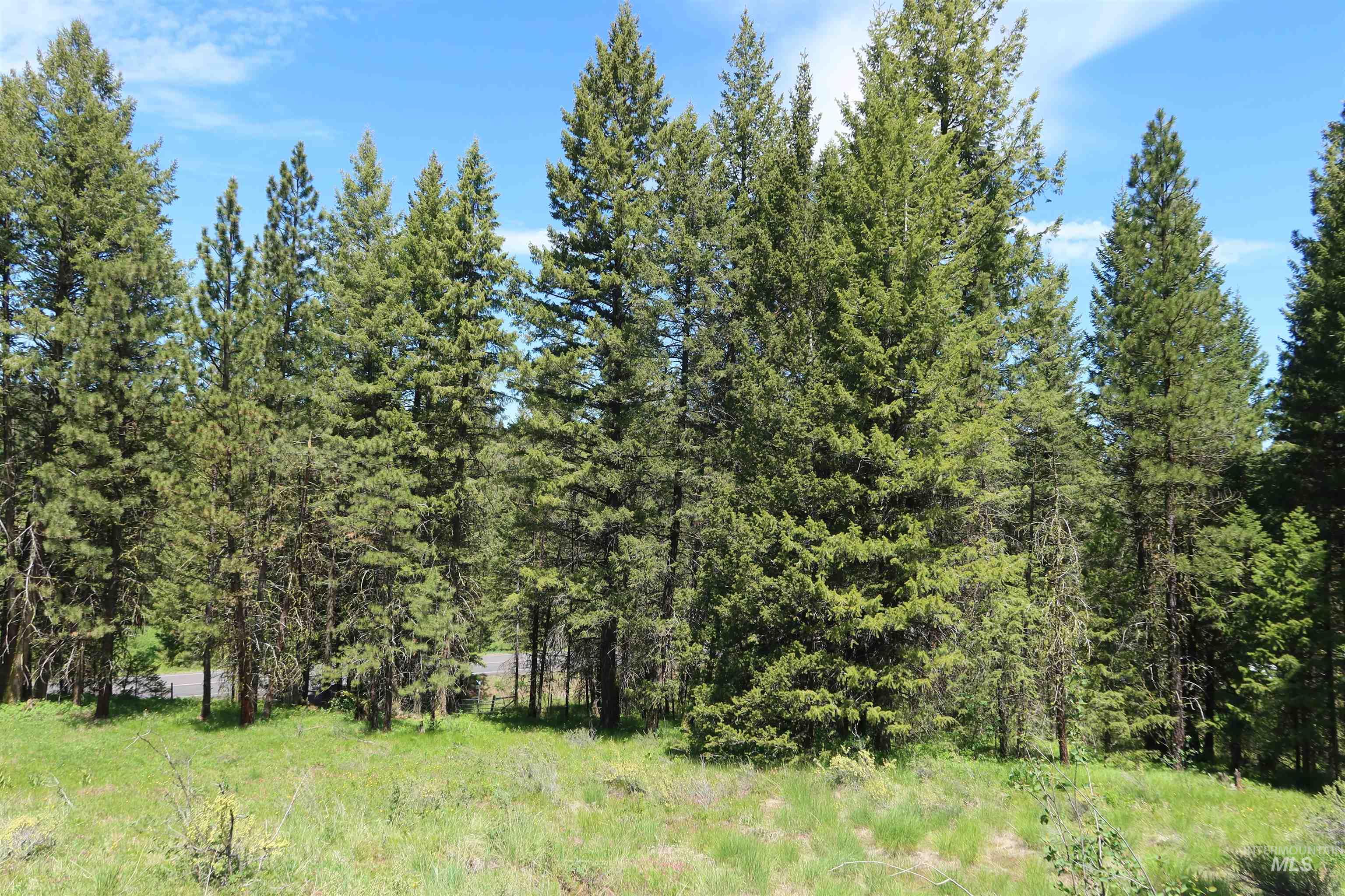 TBD Council Cuprum Rd, Council, Idaho 83612, Land For Sale, Price $399,000,MLS 98912914